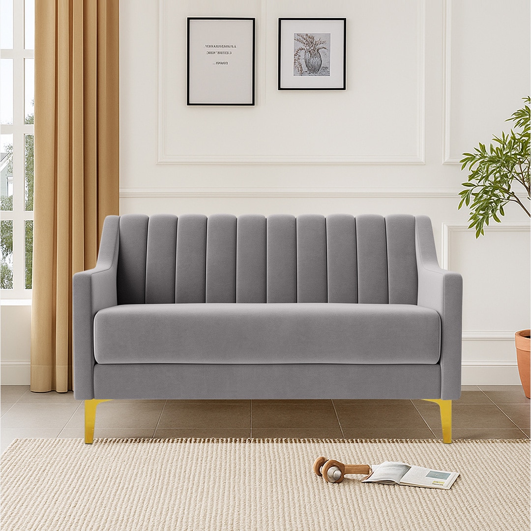 Fame Velvet 2 Seater Sofa in Grey Colour