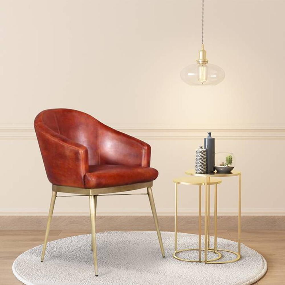 Tyson Leather Dining Chair in Multicolor
