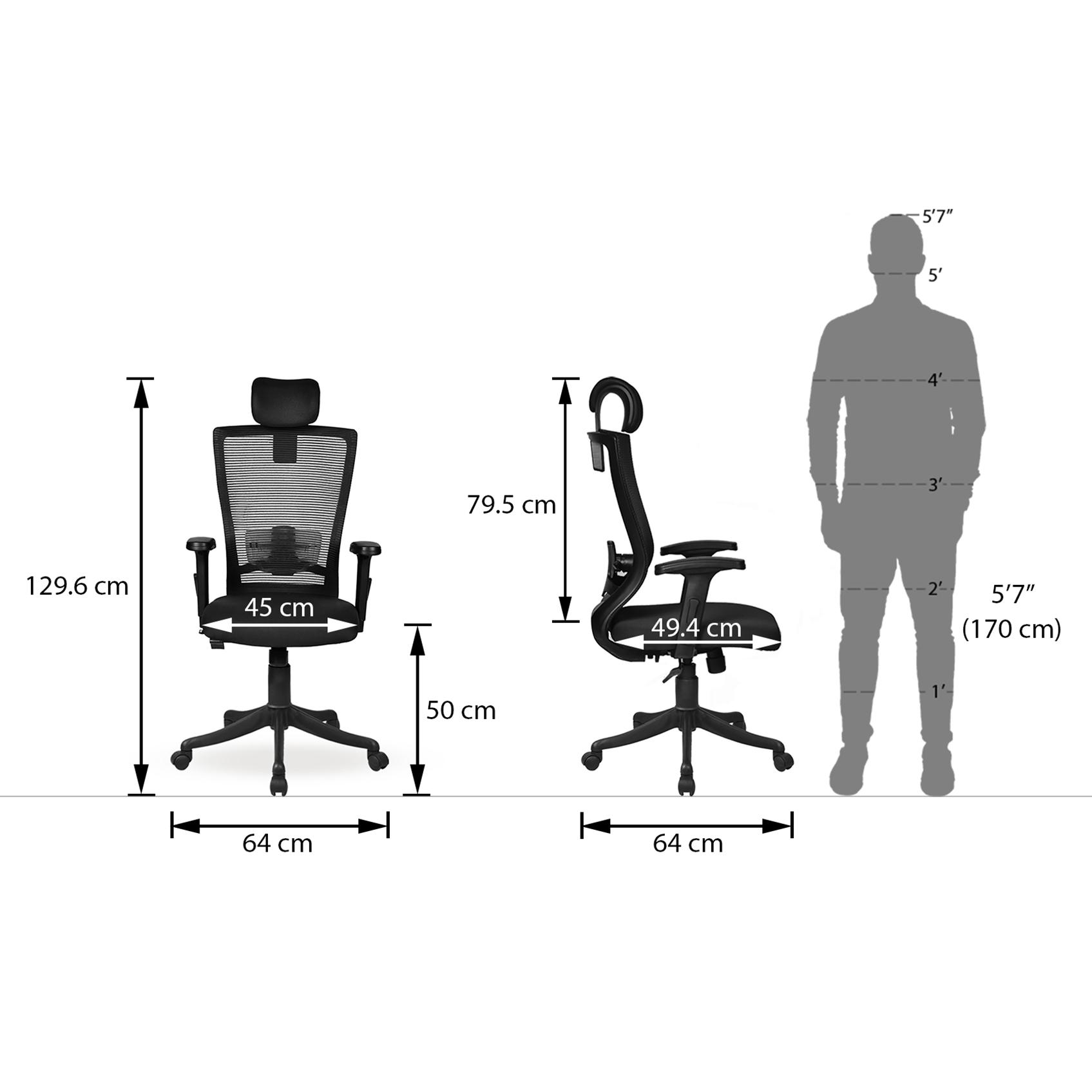 Werner Study Chair in Black Colour