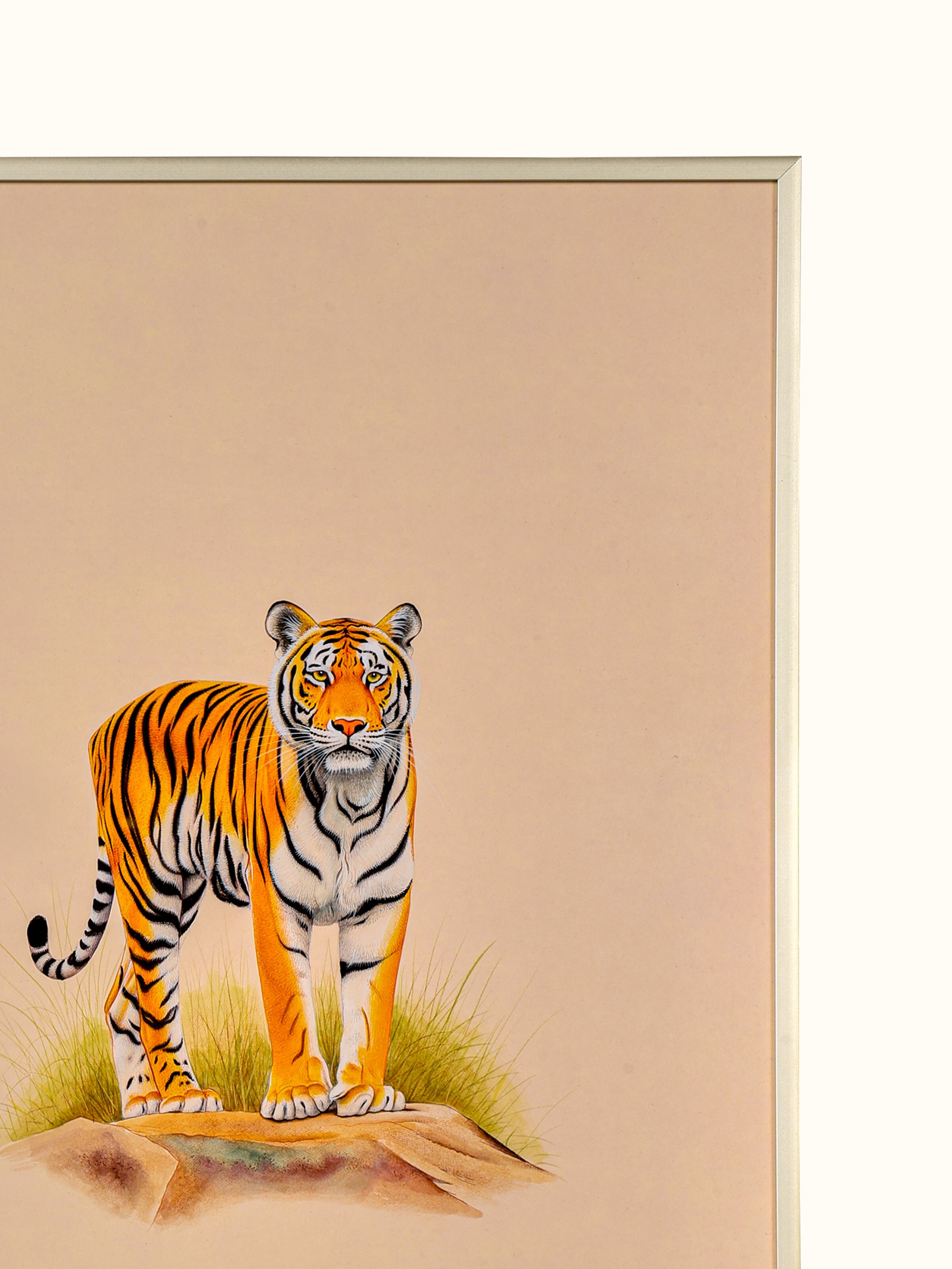 Tiger Miniature Painting