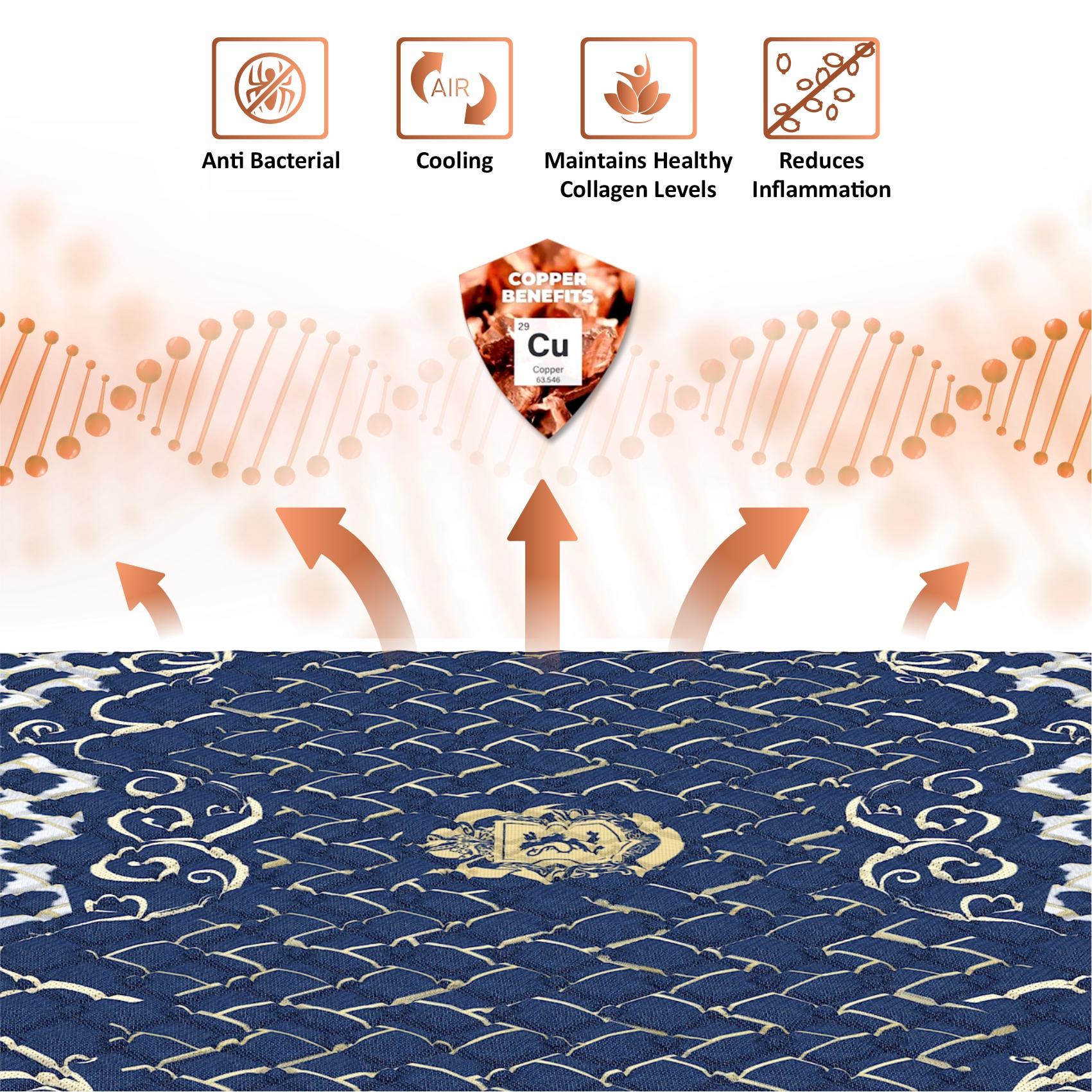 Zone Magno Pocket Pro Spring Mattress (72 x 30 in, 6 Inches)