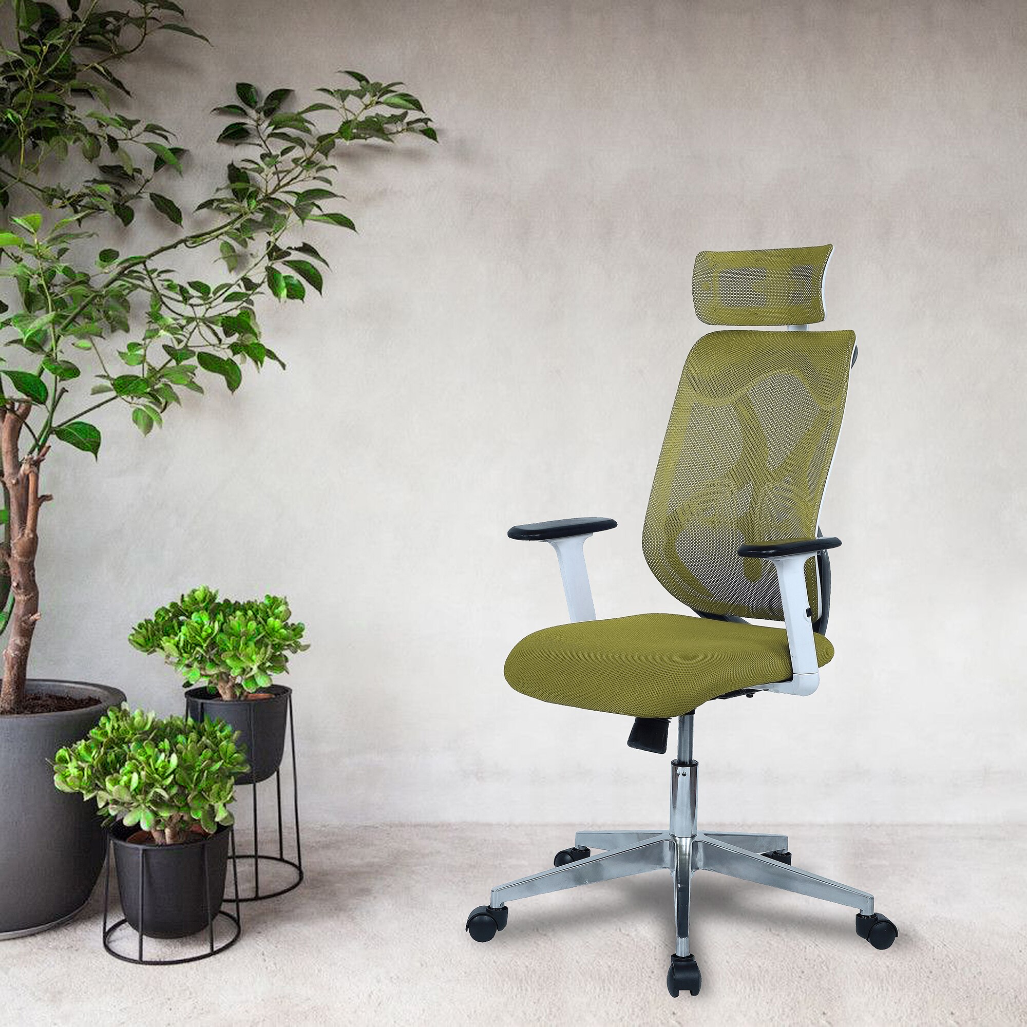 Wiweangs High Back Ergonomic Chair in Pearl Green Colour