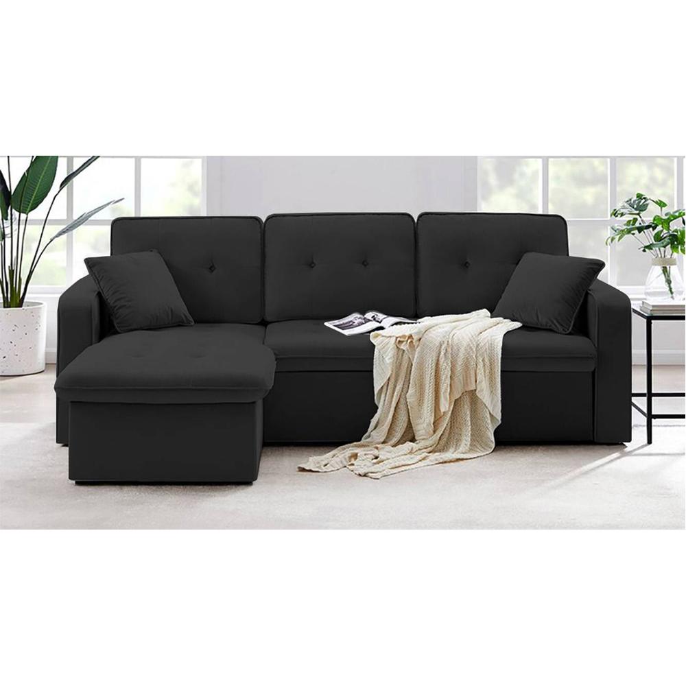 William Solid Wood Sofa cum Bed in Black