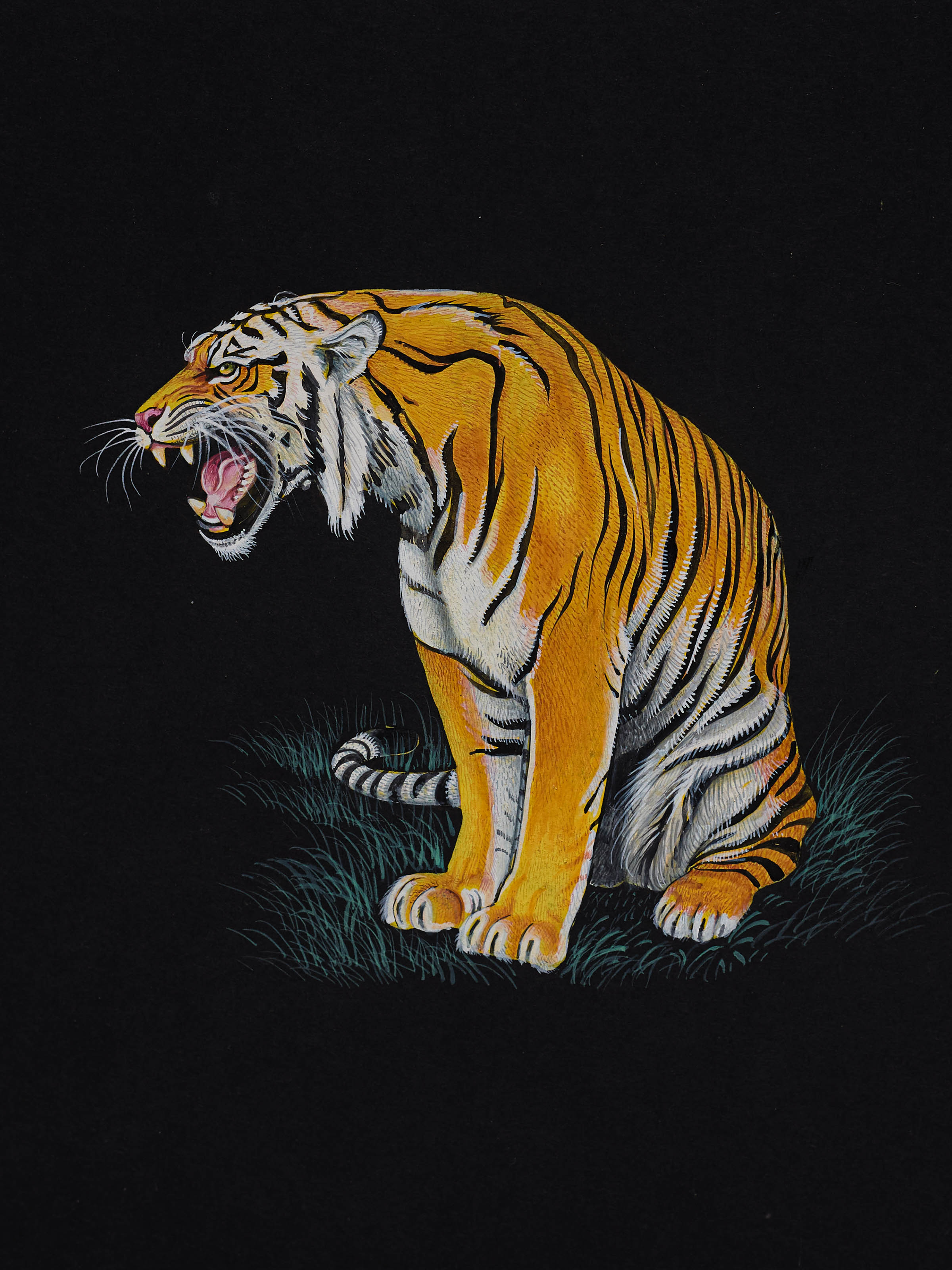 Tiger Miniature Painting