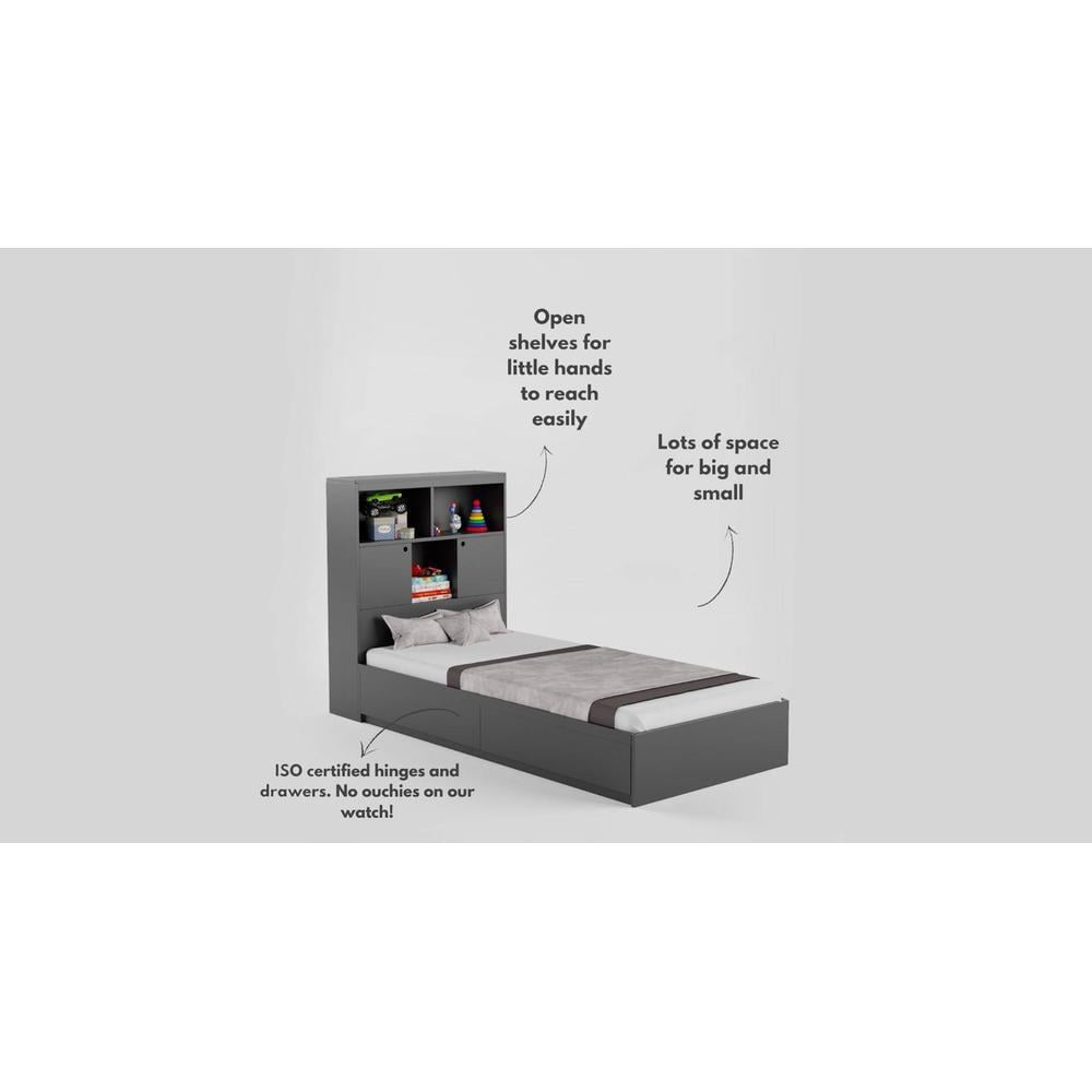 Ironhide Engineered Wood Box Storage Bed in Grey Colour
