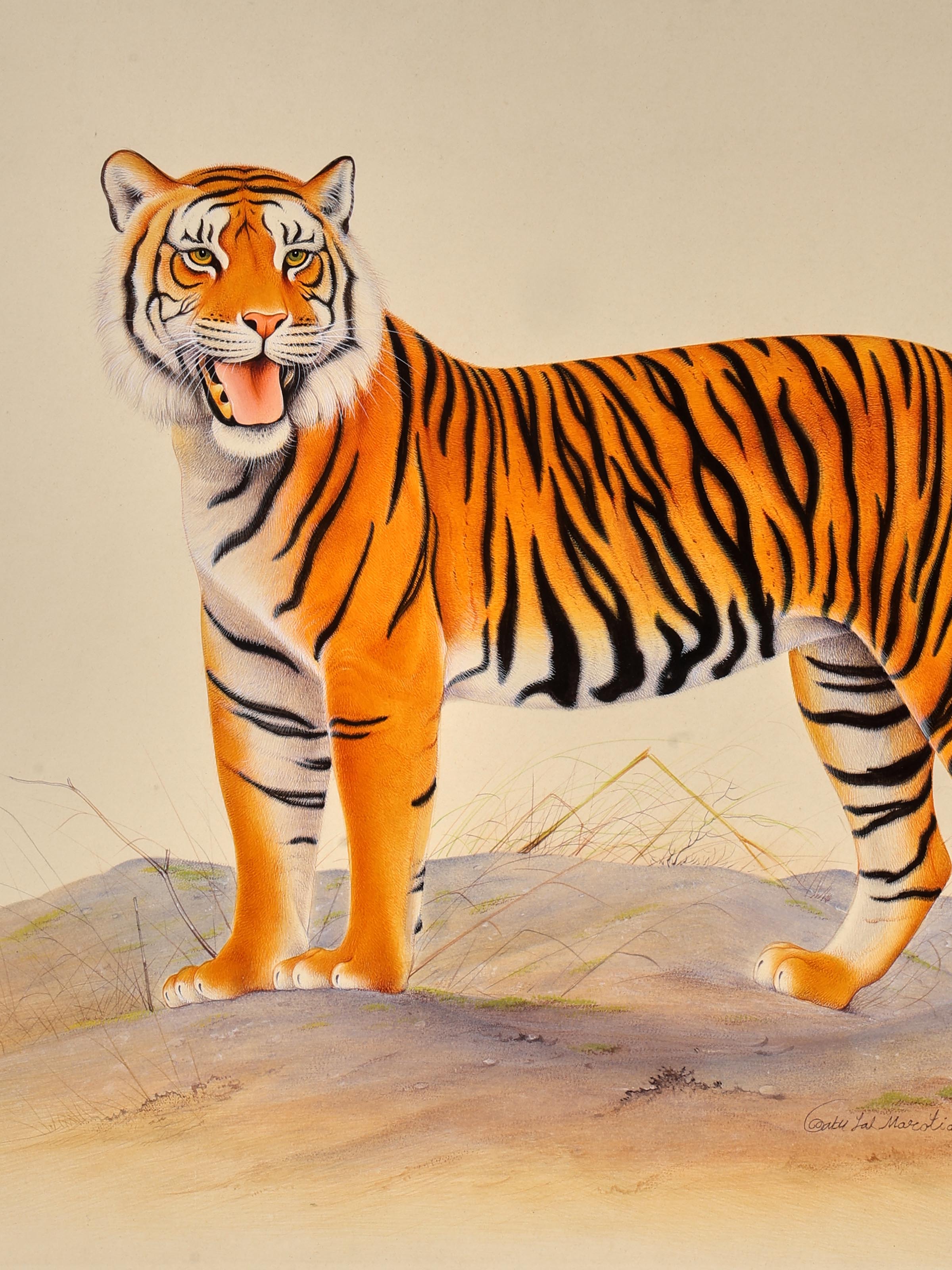 Roaring Riger Miniature Painting