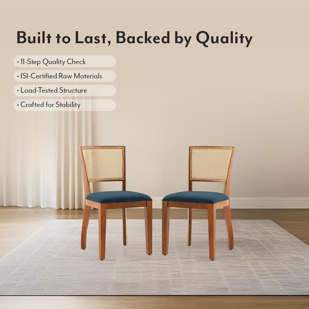 Reed Solid Wood Dining Chair Set Of 2 In Finish Amber Walnut And Colour Night Blue Velvet