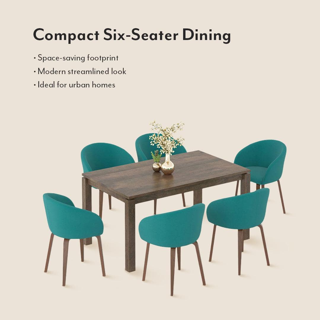 Atlas Solid Wood 6 Seater Compact Dining Table with 6 Meryl Lounge Chair