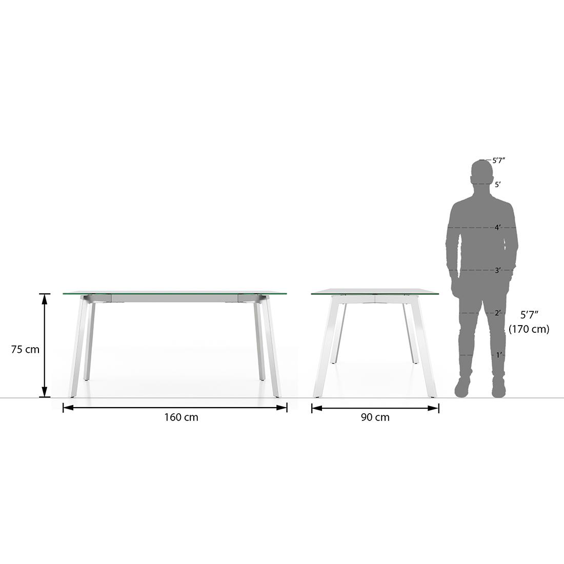 Carmen 6 Seater Glass Top Dining Table In Silver Finish