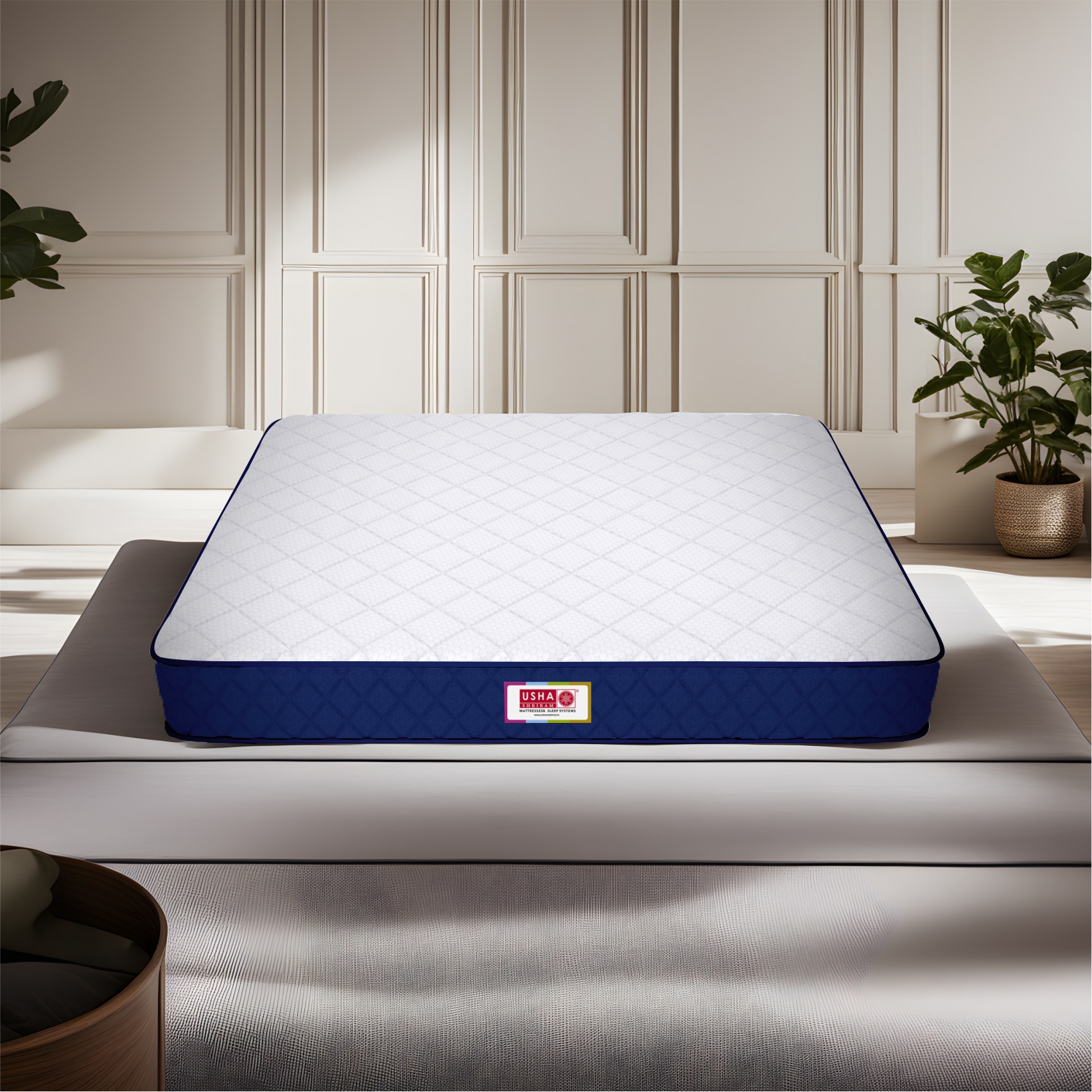 Back Master With Nff Tech (84 x 66 in, 3 inches) - Usha Shriram