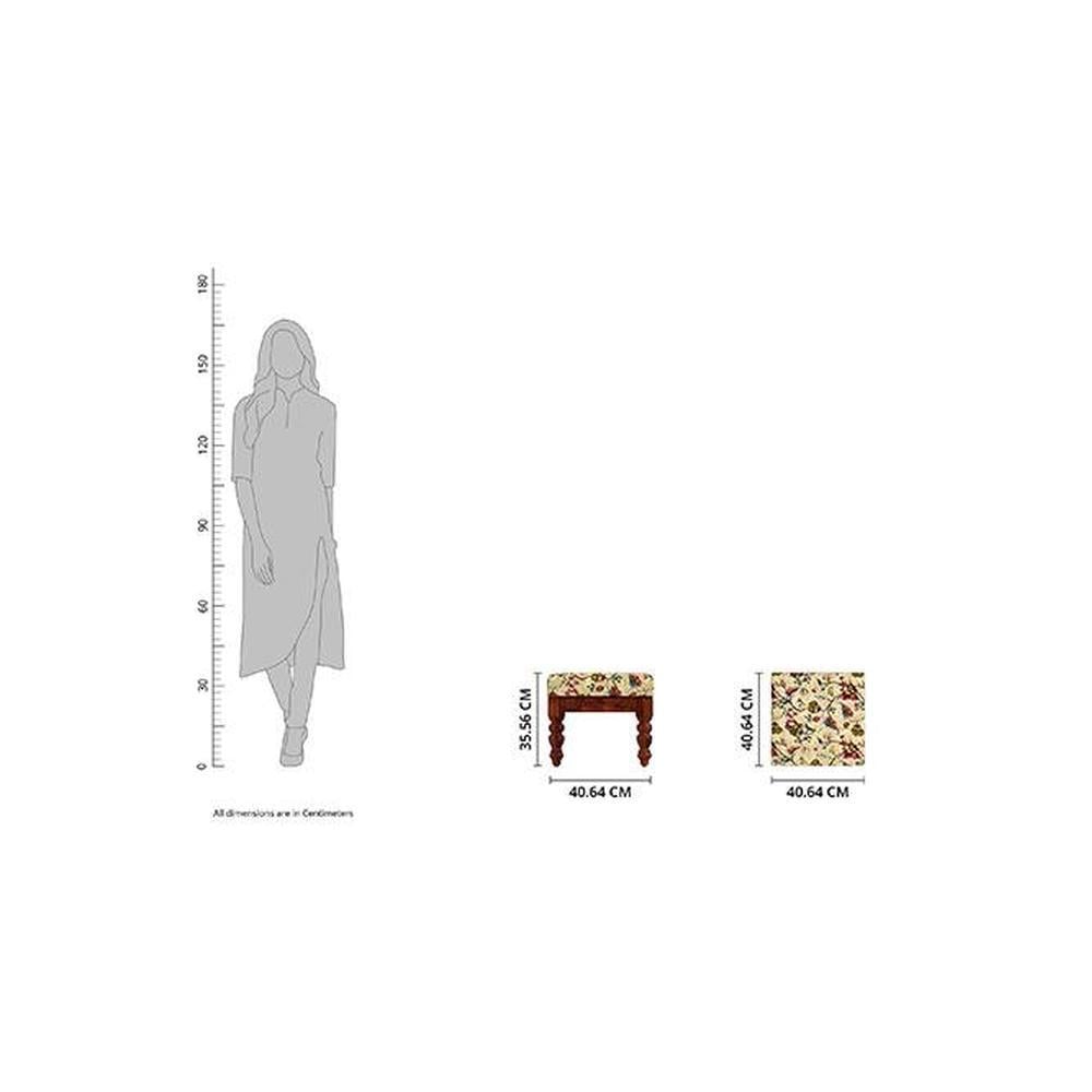 Zoya Solid Wood  Ottomon in  Multicolor Colour