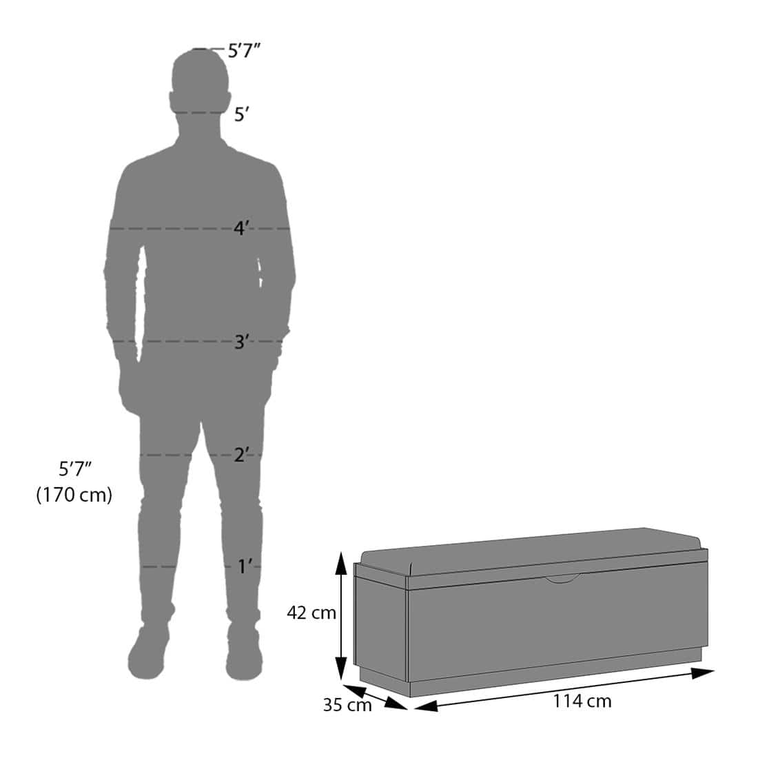 Zephyr Blanket Box In Amber Walnut Finish