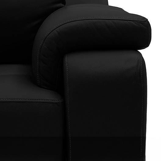 Trissino 2 Seater Leather Sofa in Licorice Colour