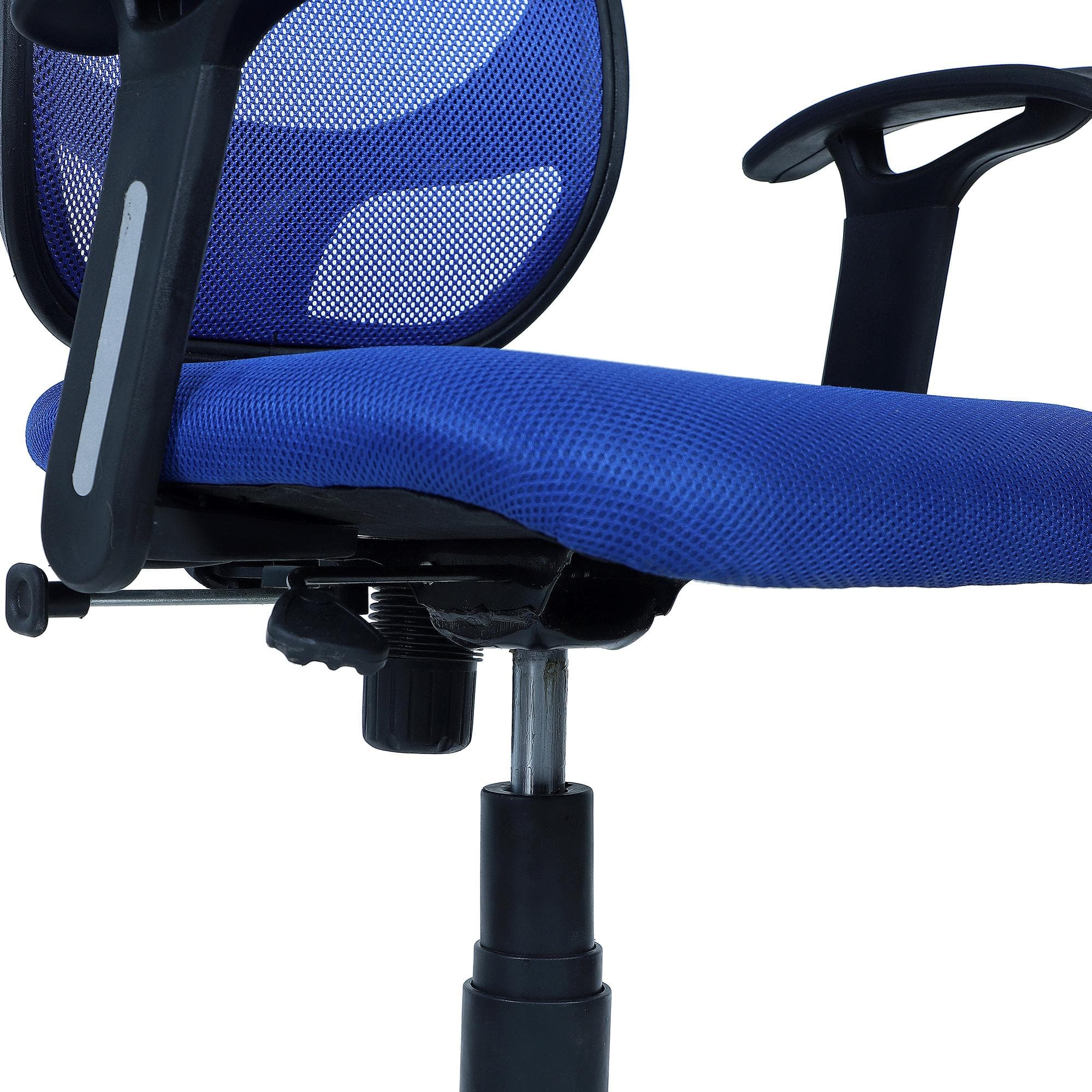 Goolda Low Back Ergonomic Chair in Blue Colour