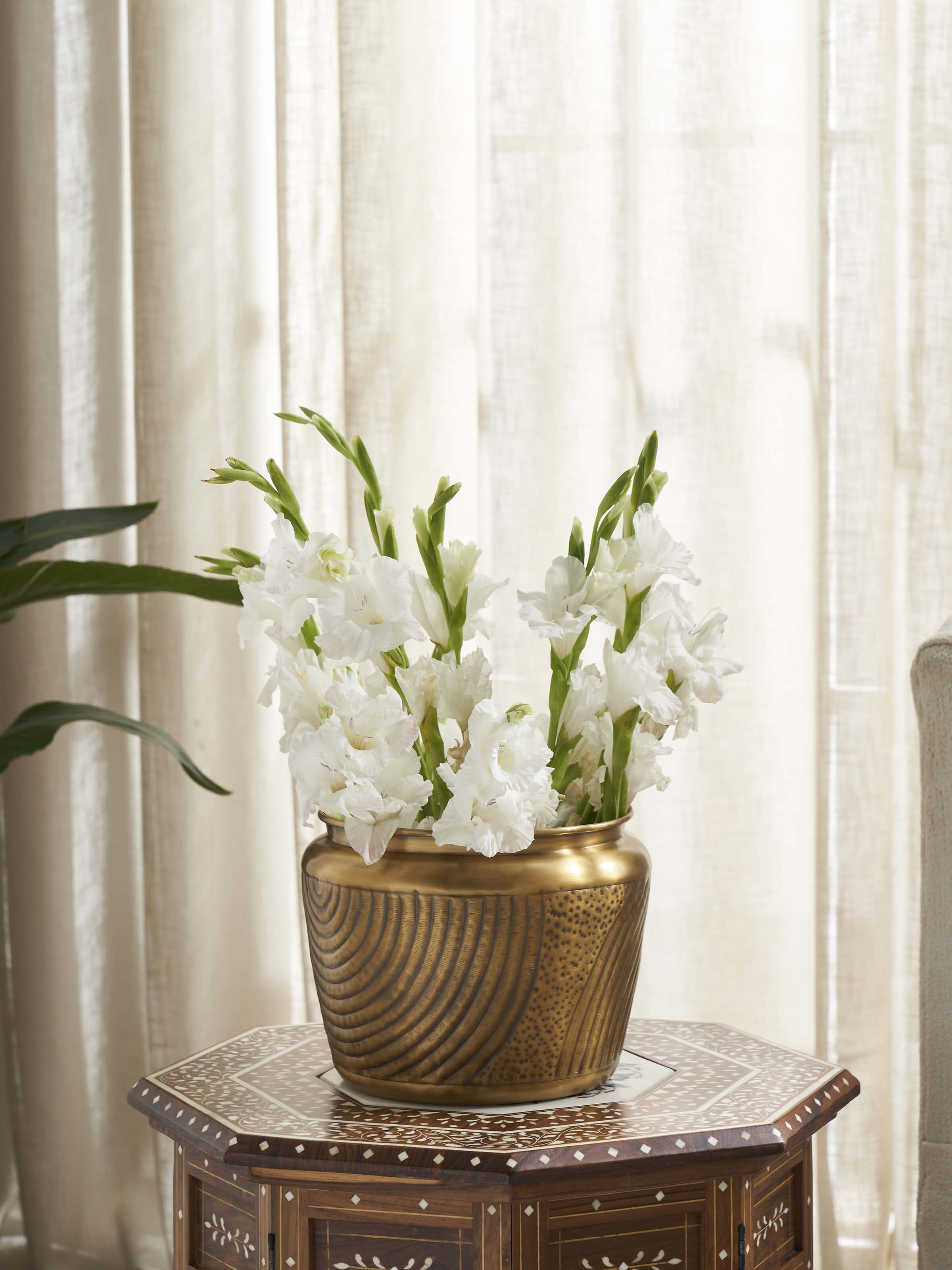 Lifestyle view of Traditional Brass Planter