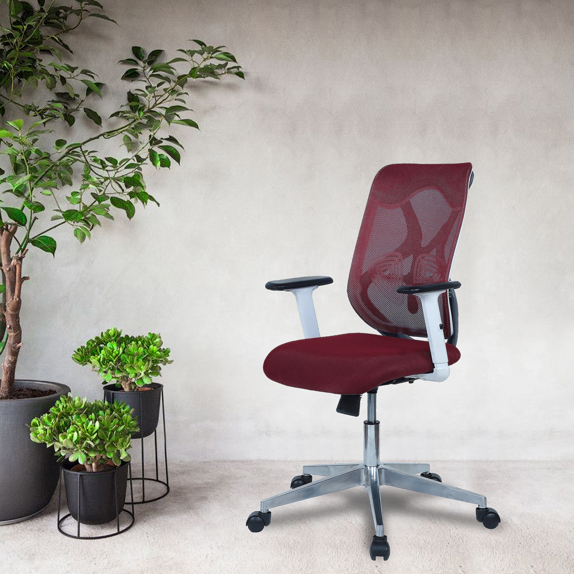 Wiwngas Mid Back Ergonomic Chair in Maroon Colour