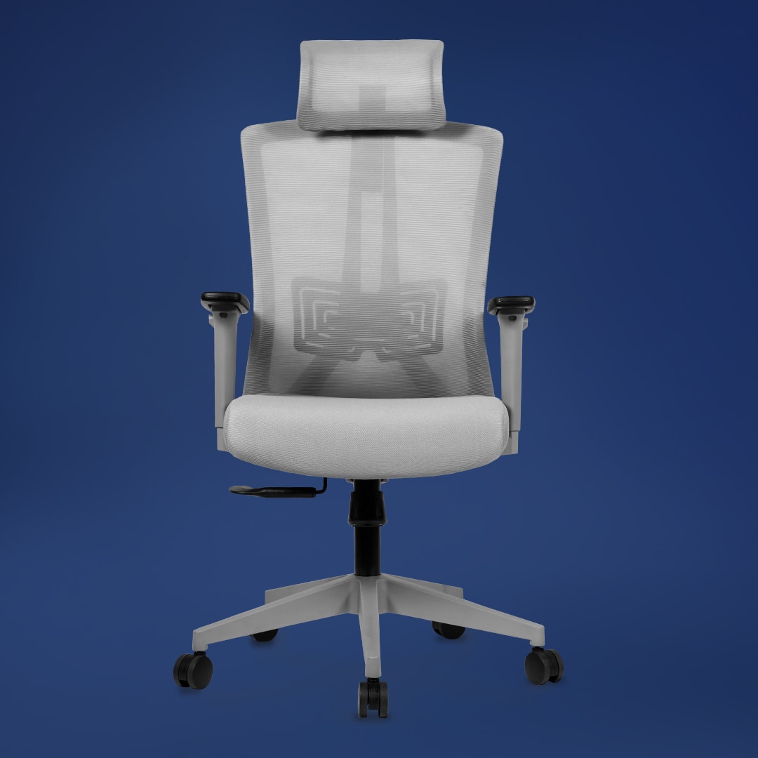 Regalia High Back Mesh Office Chair with Headrest in Grey Colour