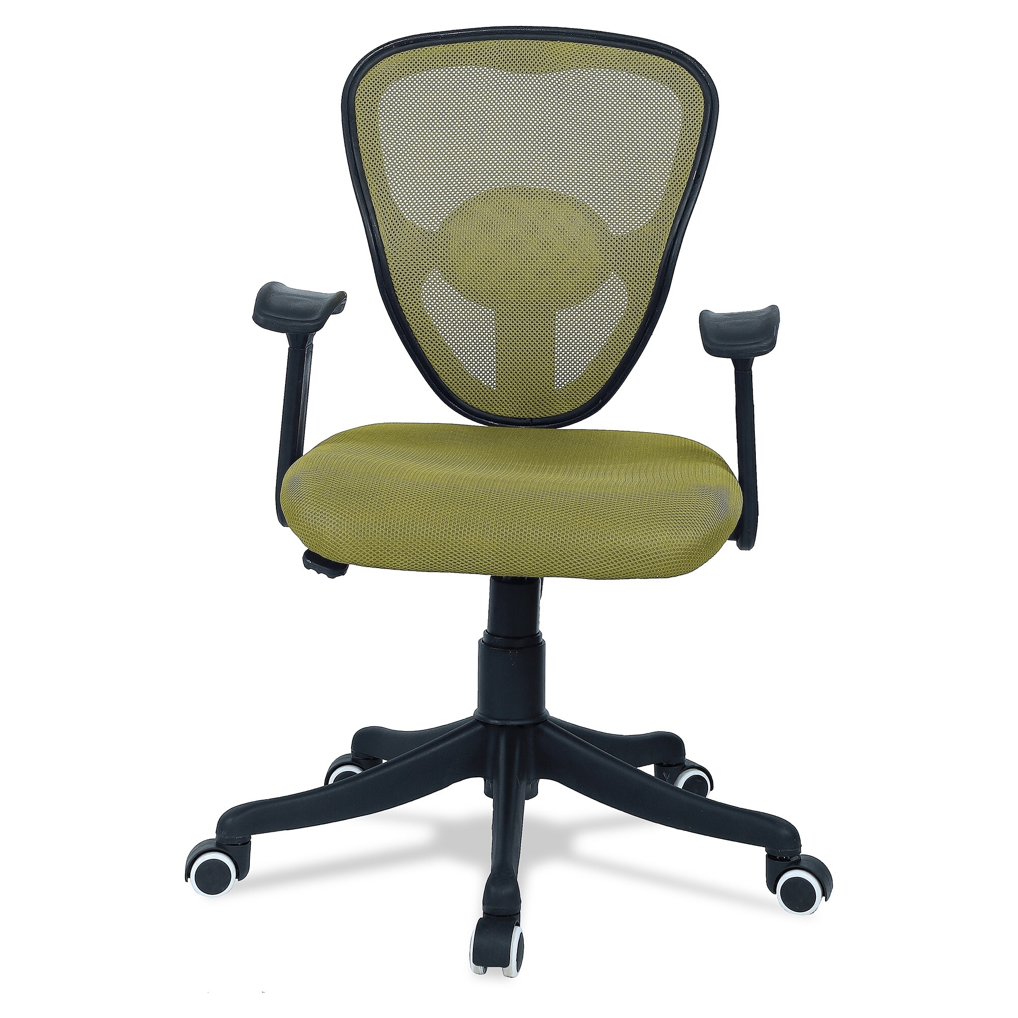 Aaeroa Low Back Ergonomic Chair in Pearl Green Colour