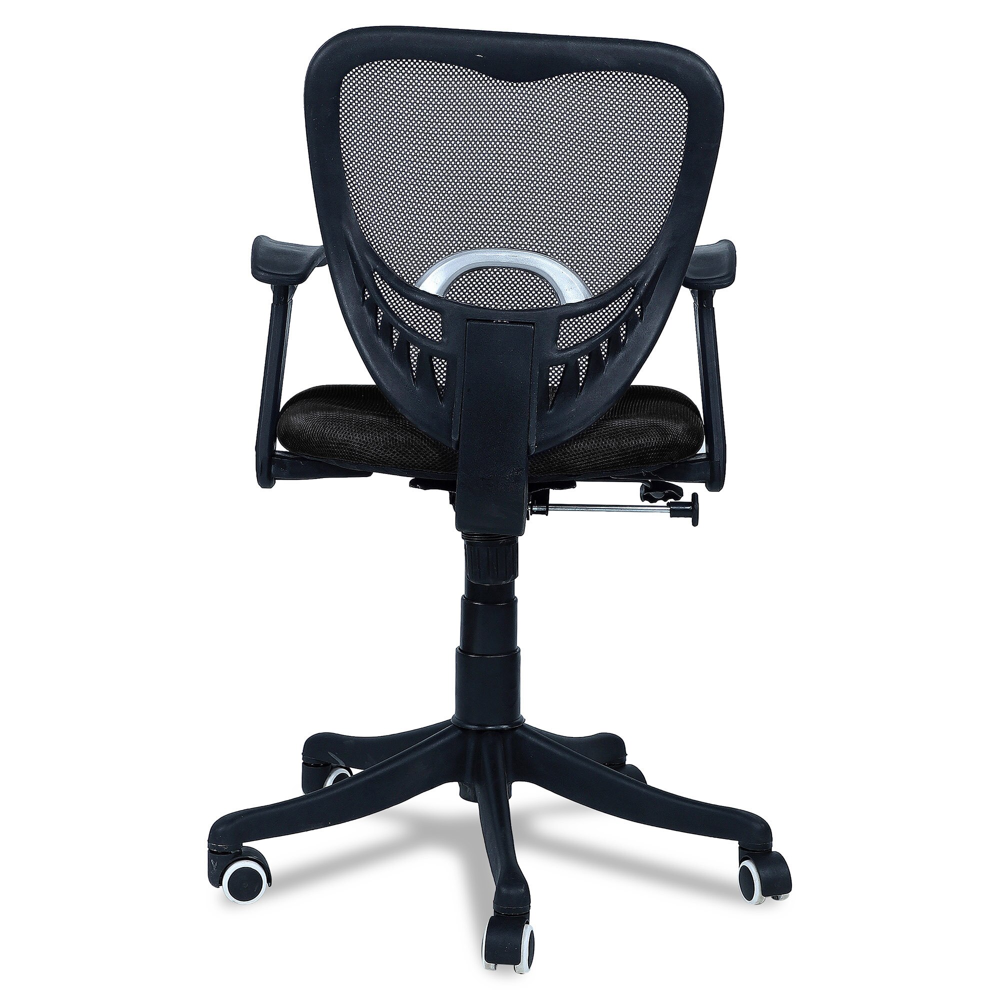 Odrione Low Back Ergonomic Chair in Black Colour