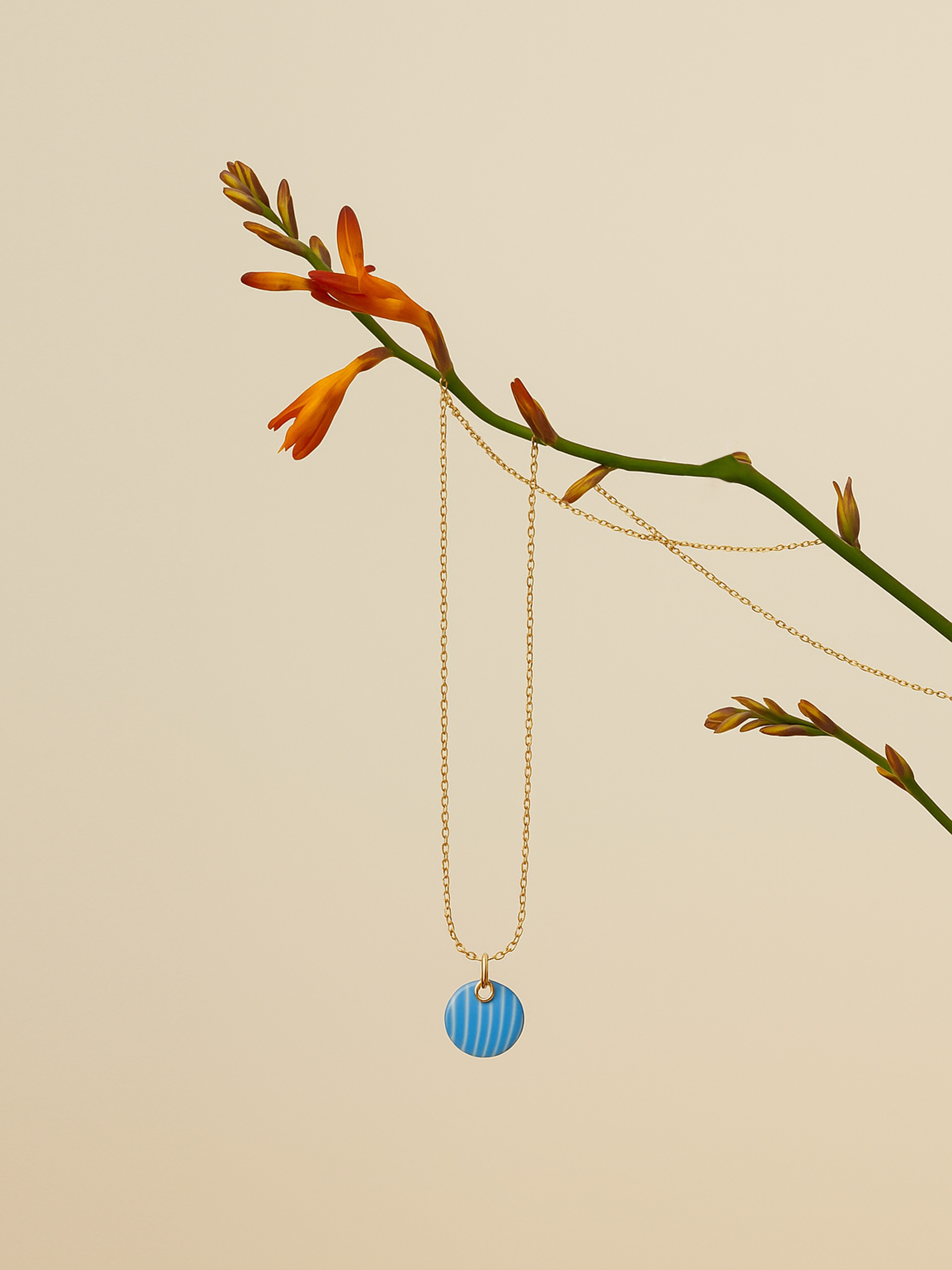 Ceramic Pendant & Chain