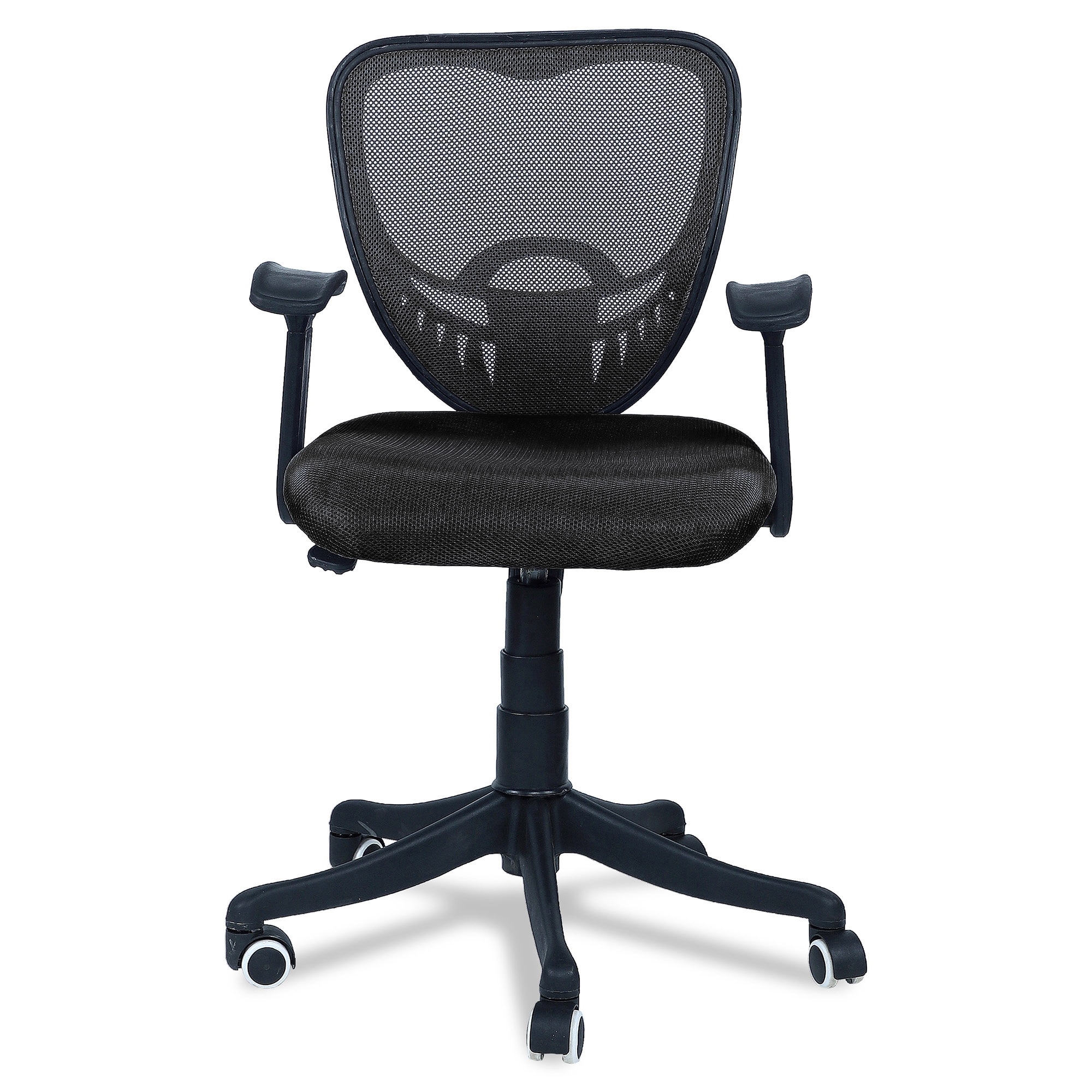 Odrione Low Back Ergonomic Chair in Black Colour