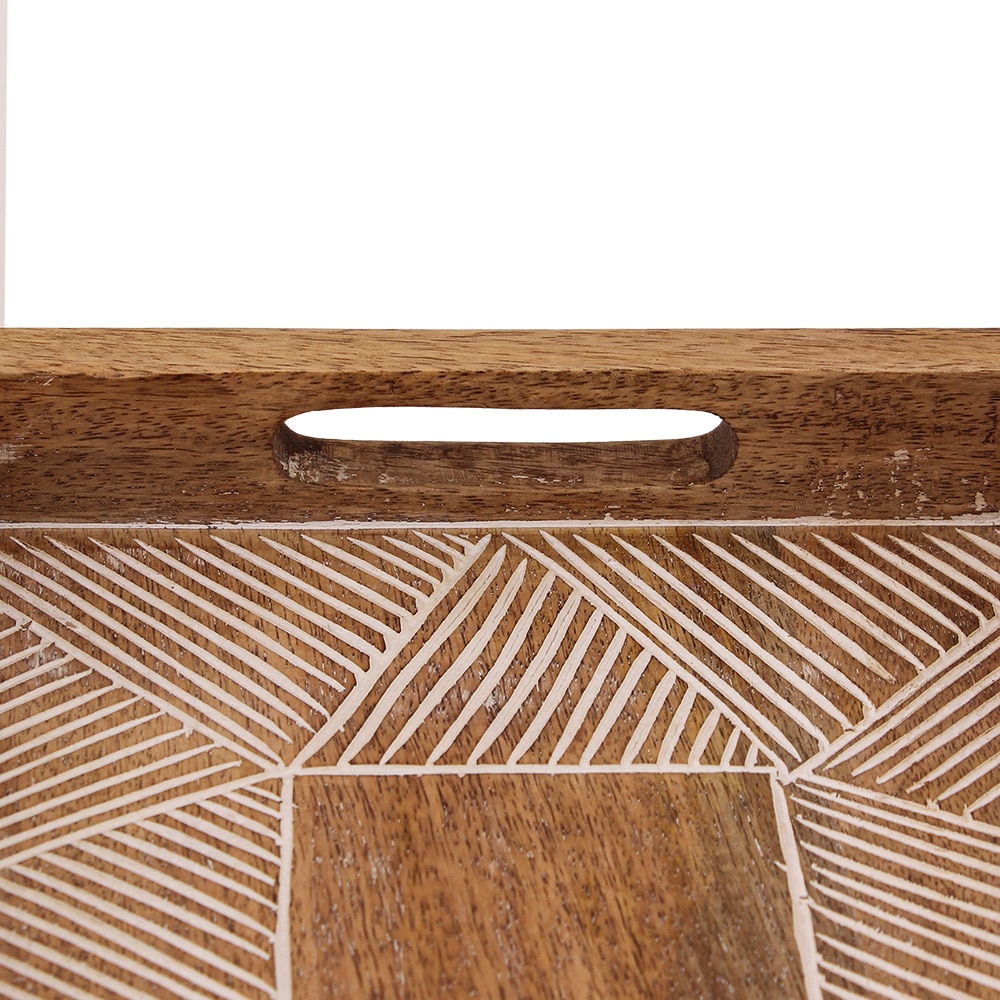 Camorta 1 Tray with Multicolor colour