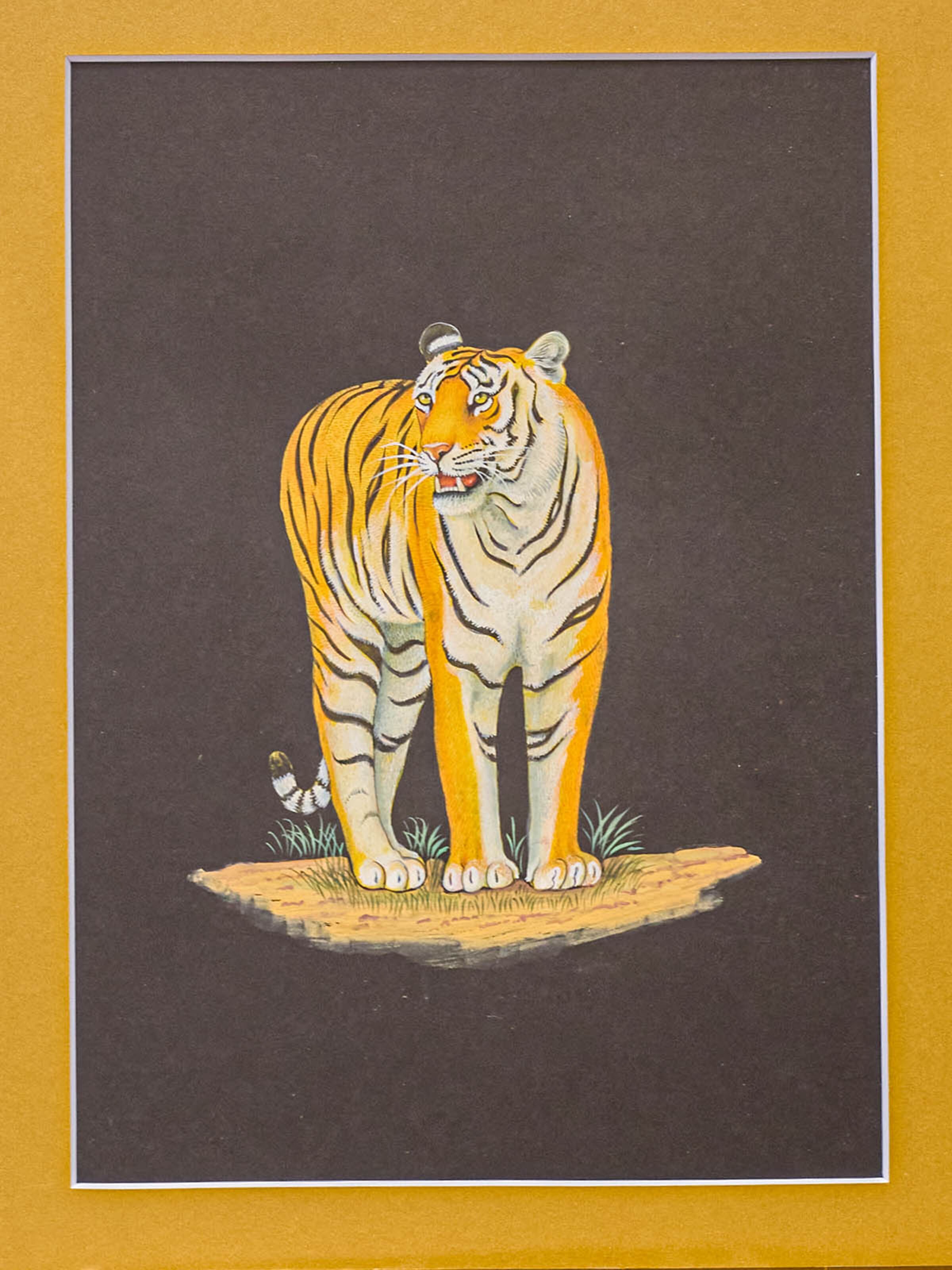 Tiger Miniature Painting