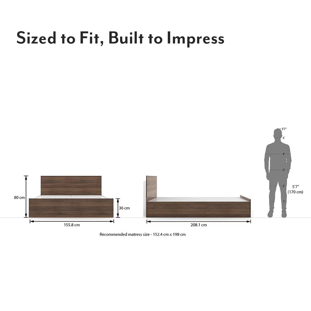 Zoey Engineered Wood Queen Size Box Storage Bed In Classic Walnut Finish