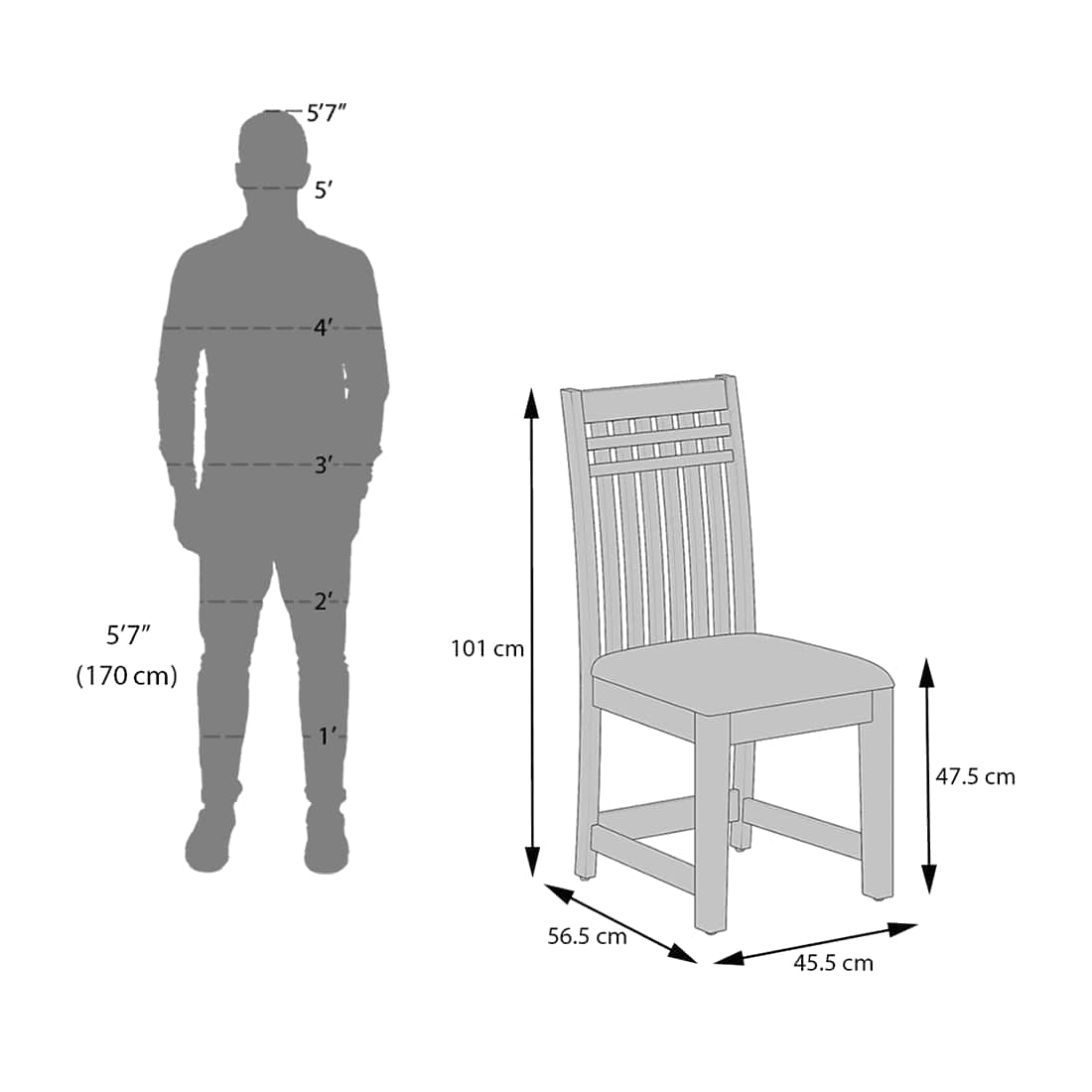 Diego Dining Chair In Teak Finish & Macadamia Brown Colour