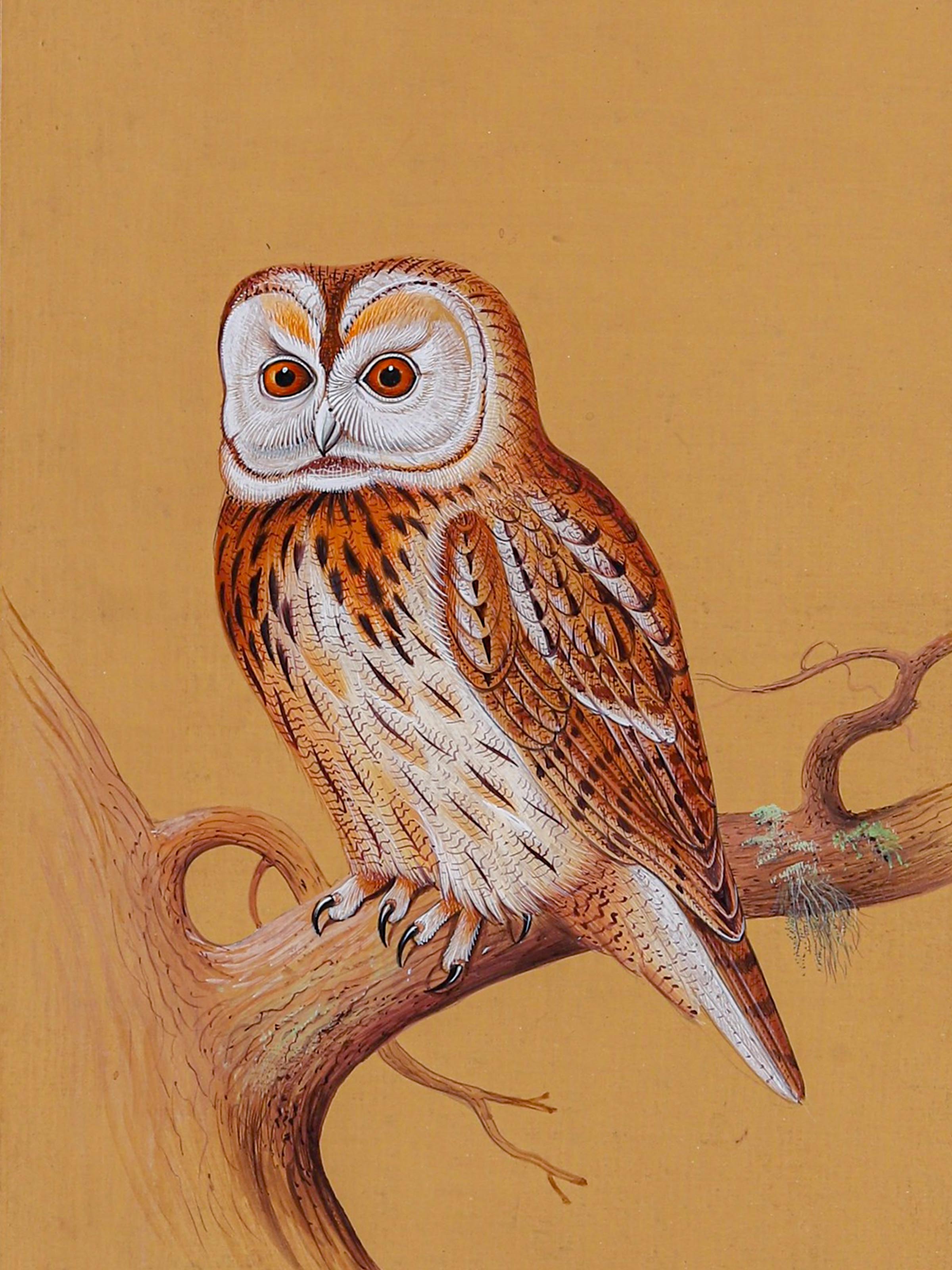 Bird Miniature Painting