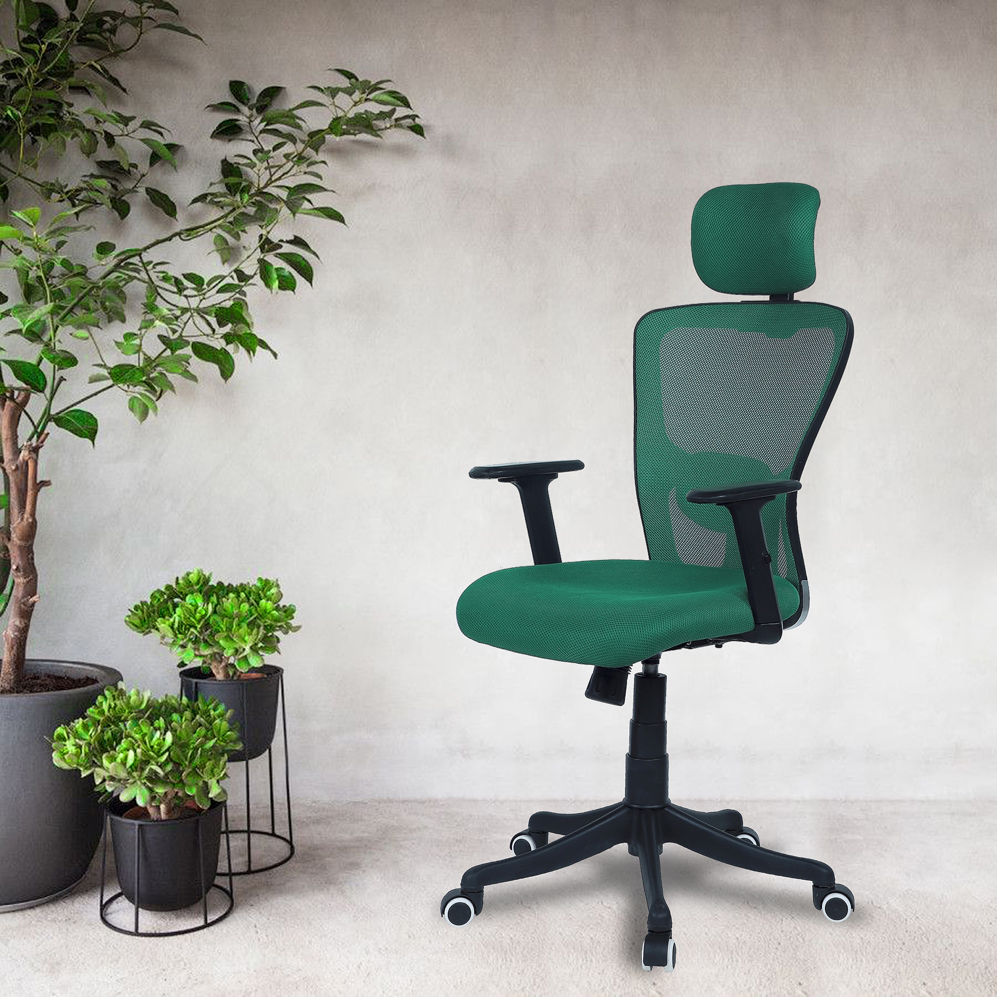 Dreaceo High Back Ergonomic Chair in Dark Green Colour