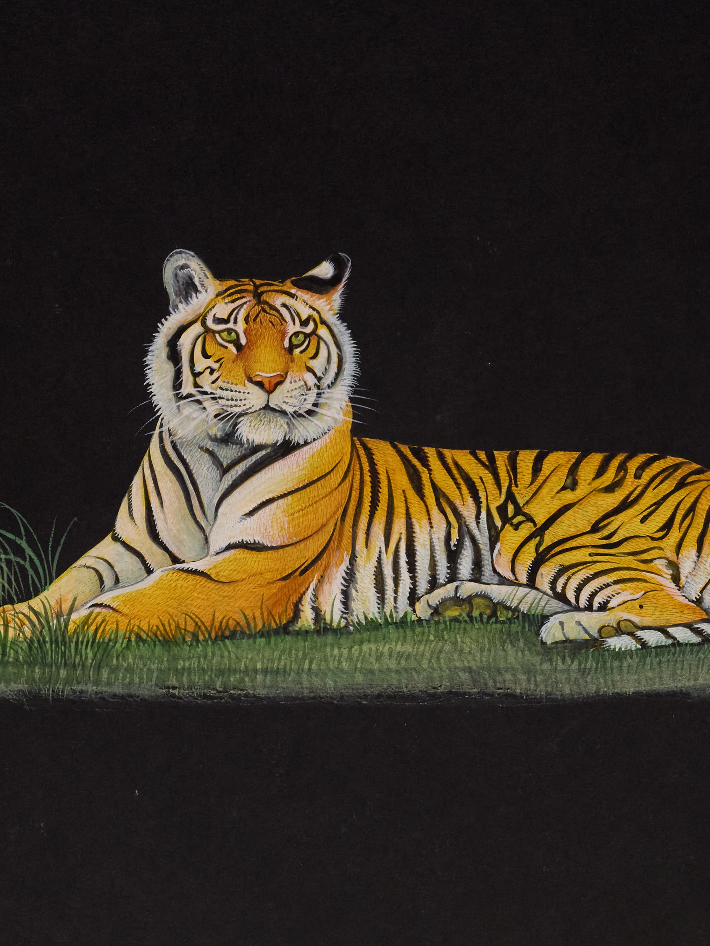 Tiger Miniature Painting