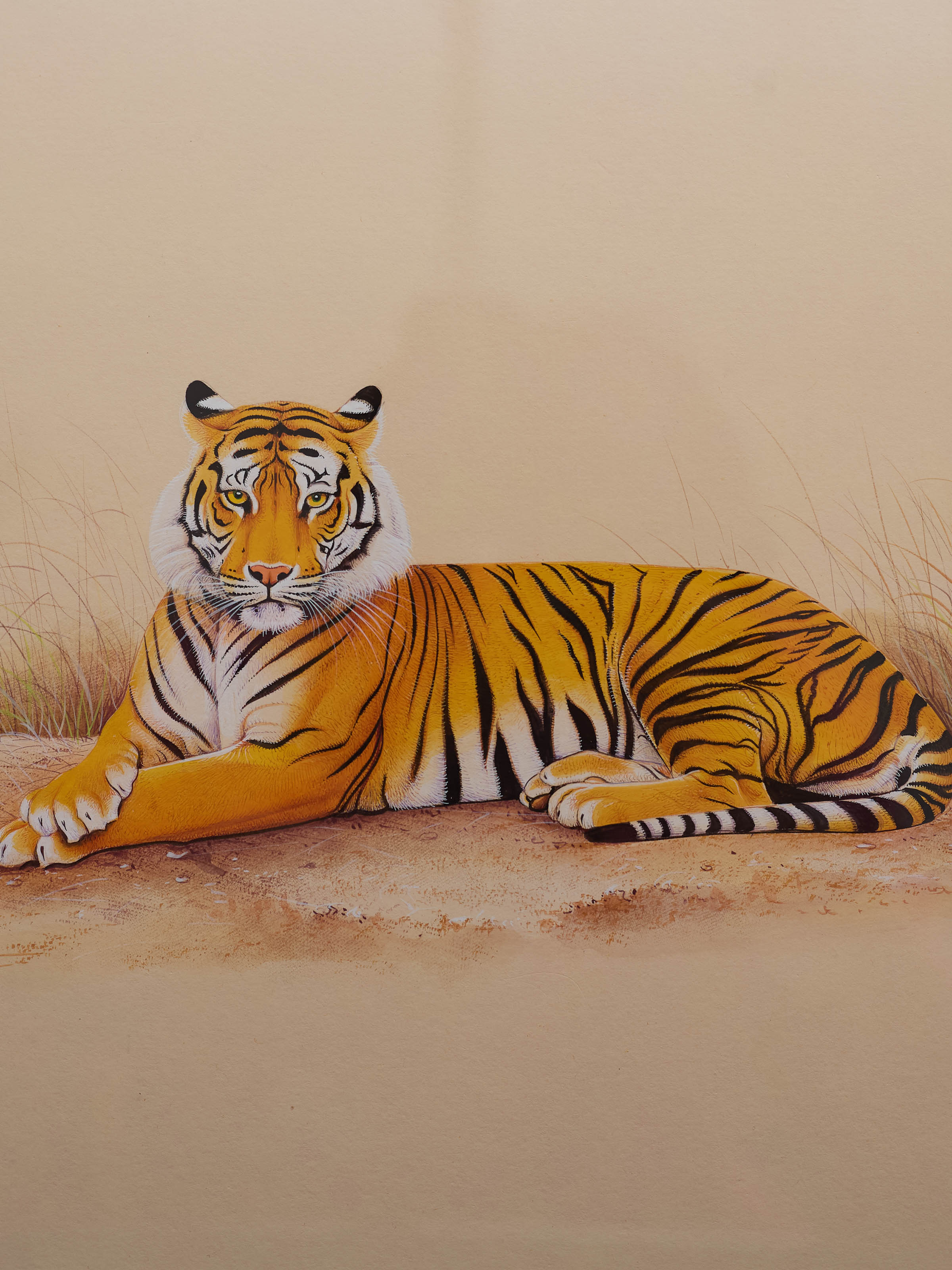 Tiger Miniature Painting