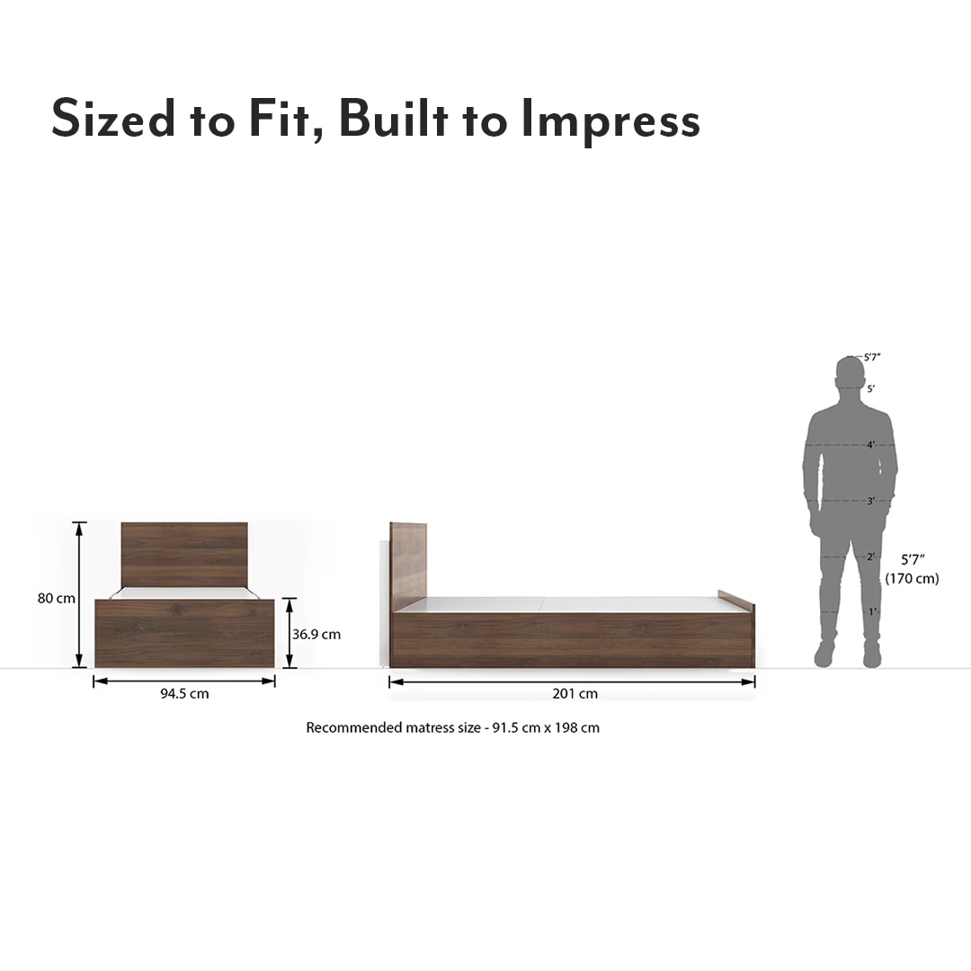Zoey Engineered Wood Single Size Box Storage Bed In Classic Walnut Finish