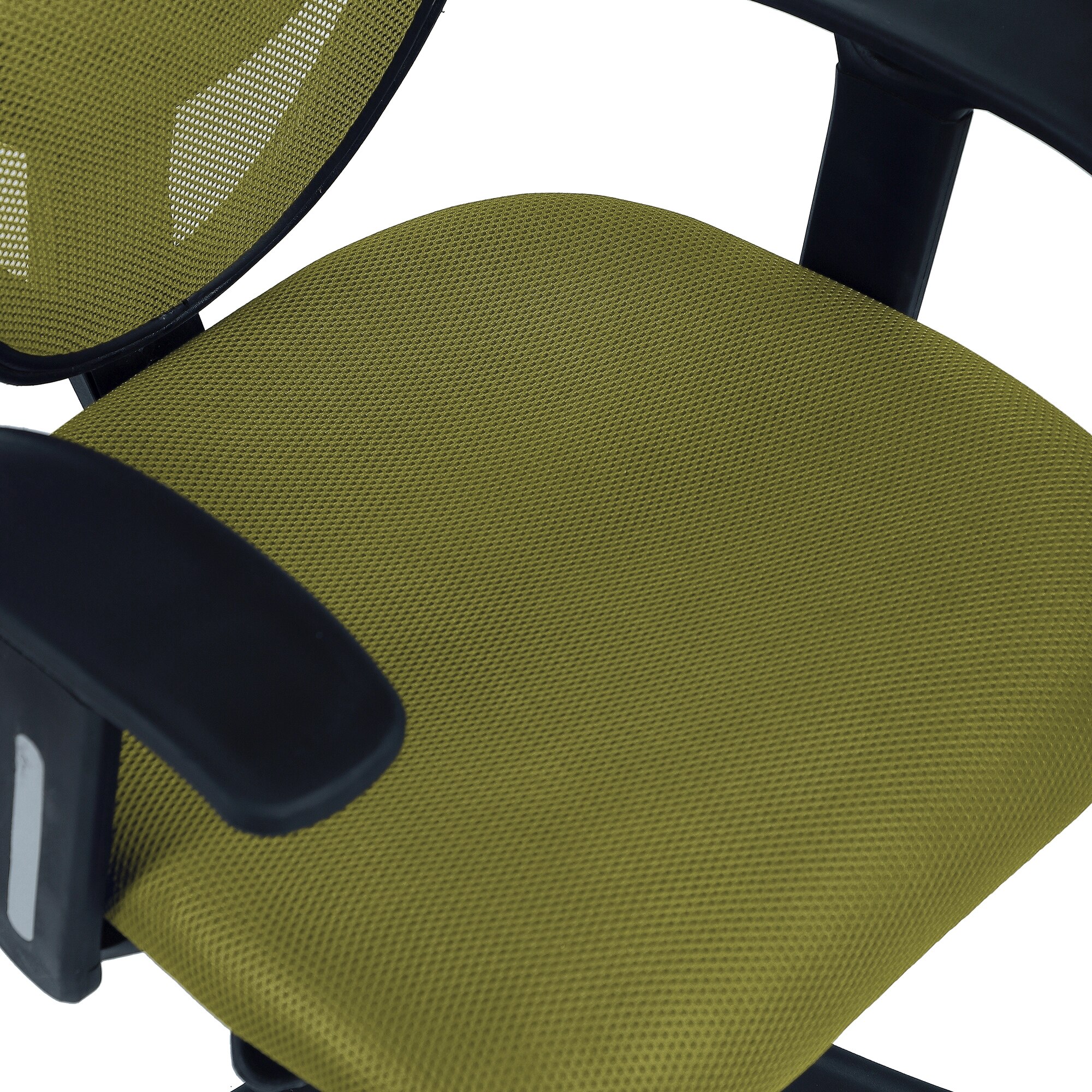 Aaeroa Low Back Ergonomic Chair in Pearl Green Colour