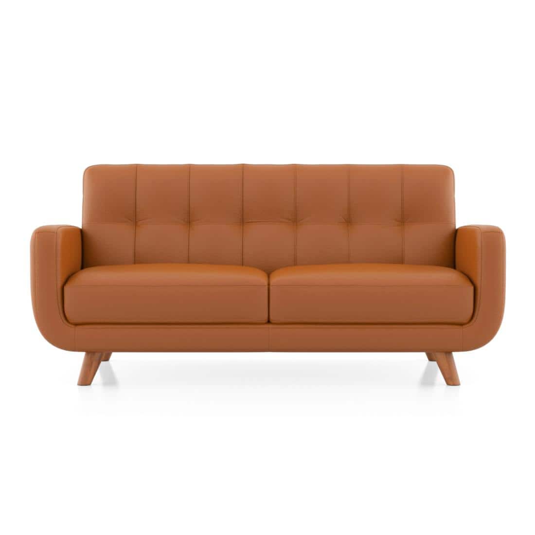 Waverly 2 Seater Leather Sofa in Apricot
