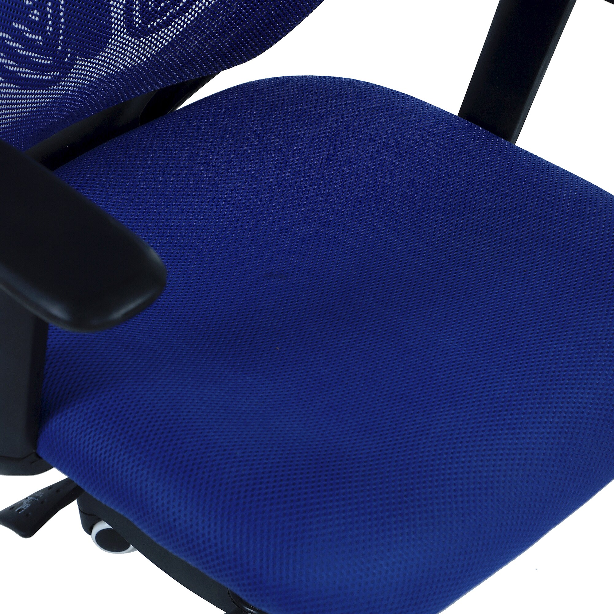 Zeeazyana High Back Ergonomic Chair in Blue Colour
