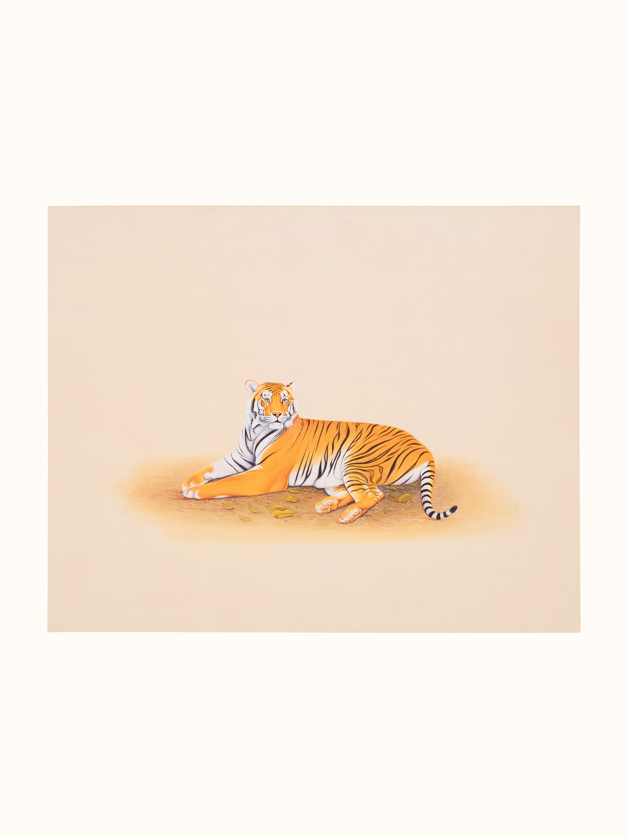 Tiger Miniature Painting