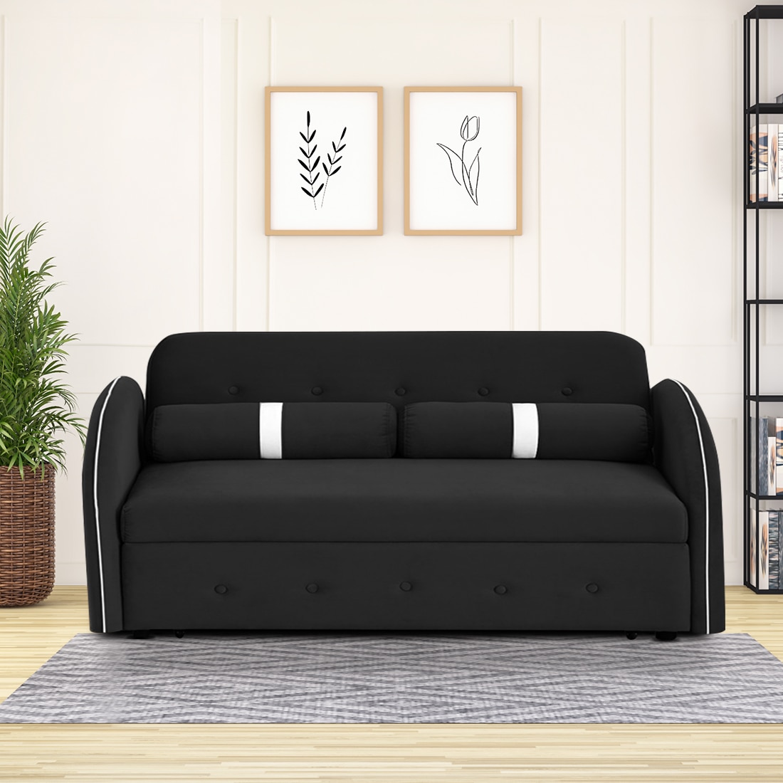 Jayen 3 Seater Pull Out Sofa cum Bed  in Black Colour - Home Lifestylez