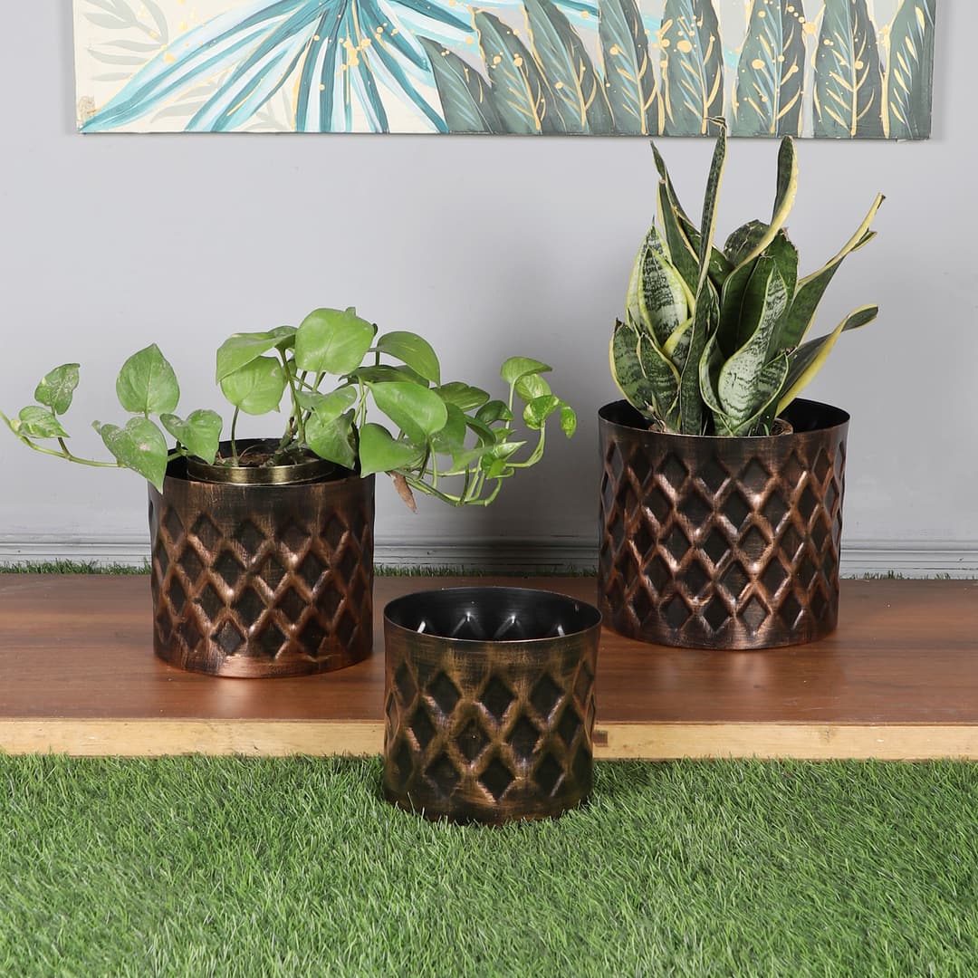 Cross Hammered Planter Set Of 3 In Black And Gold Colour