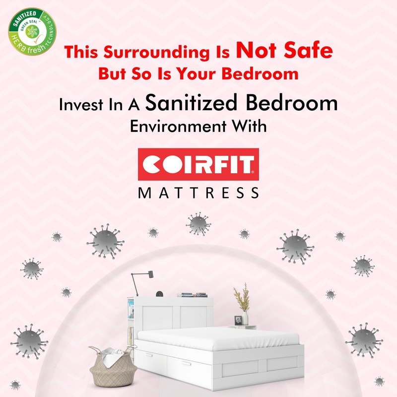 Zone Magno Pocket Pro Spring Mattress (75 x 36 in, 10 Inches)