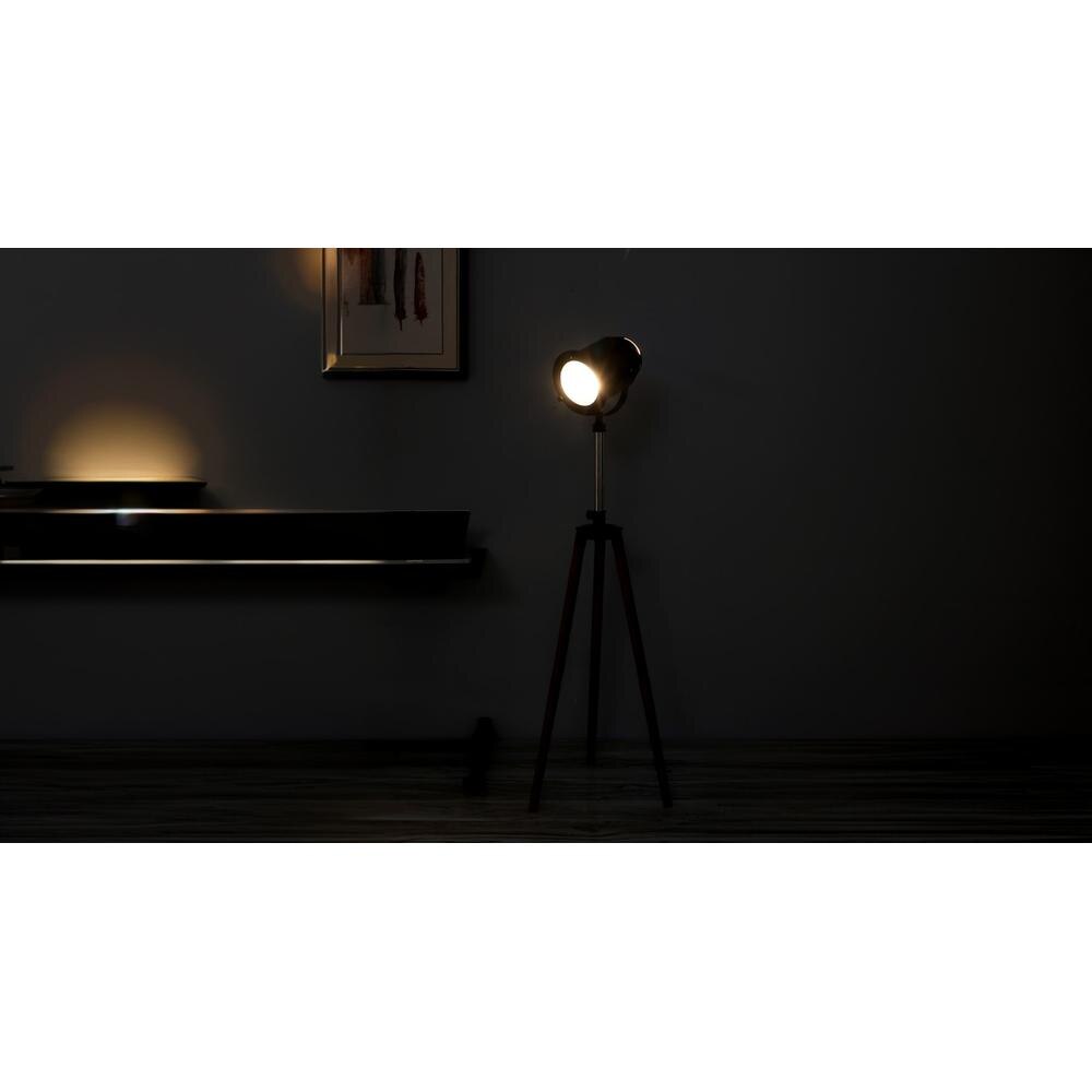 Asher Without Star Floor Lamp Black
