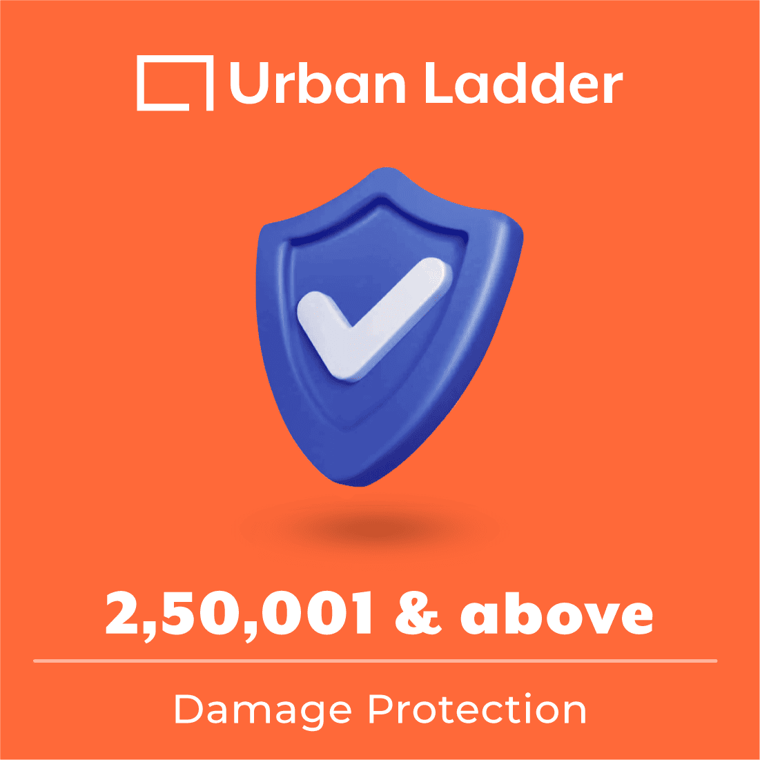 Value Added Services - 1 Year Damage Protection (250001 & above)