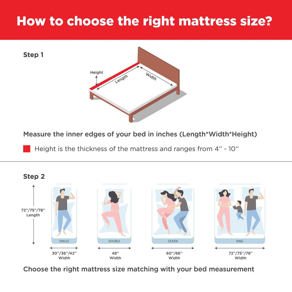 LiveIn Bounce - 3 Zone Pocket Spring with HR Foam Mattress for Zero Motion Transfer (75 x 35 in, 6 Inches)