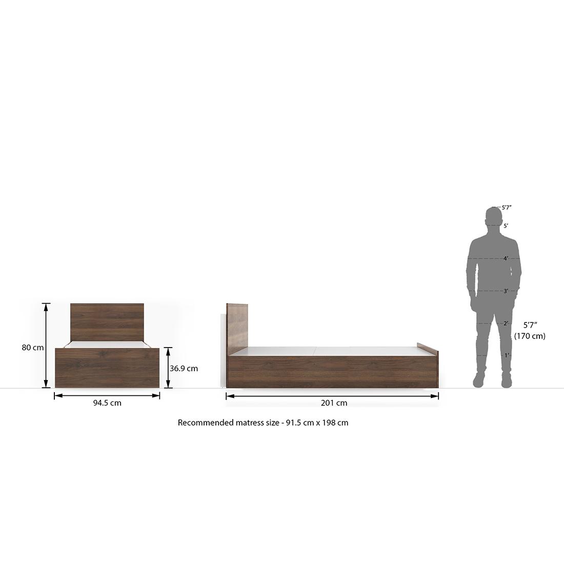 Zoey Engineered Wood Single Size Box Storage Bed In Classic Walnut Finish