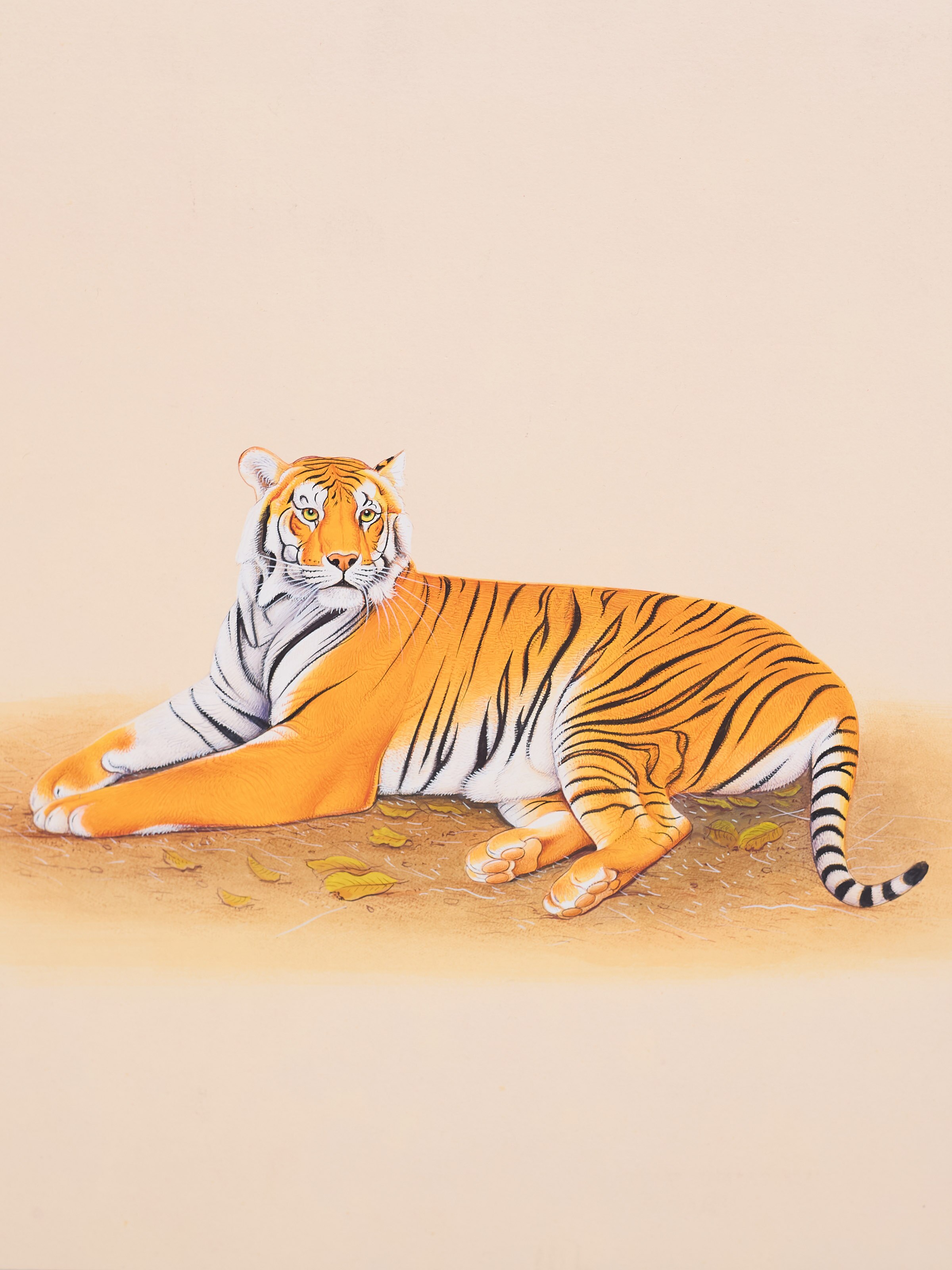 Tiger Miniature Painting