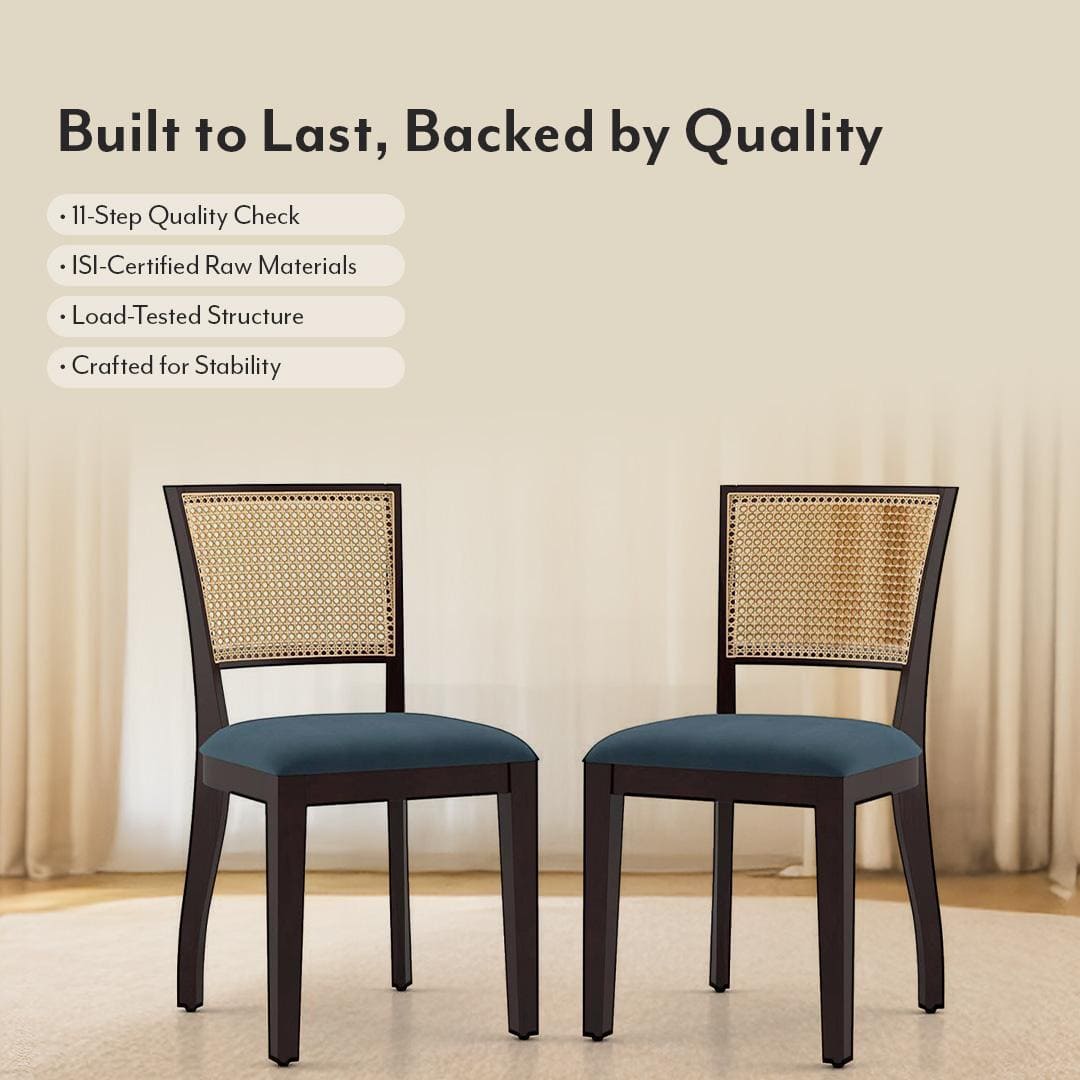 Argiro Solid Wood Dining Chair Set Of 2 In Mahogany Finish With Night Blue Velvet Fabric Colour