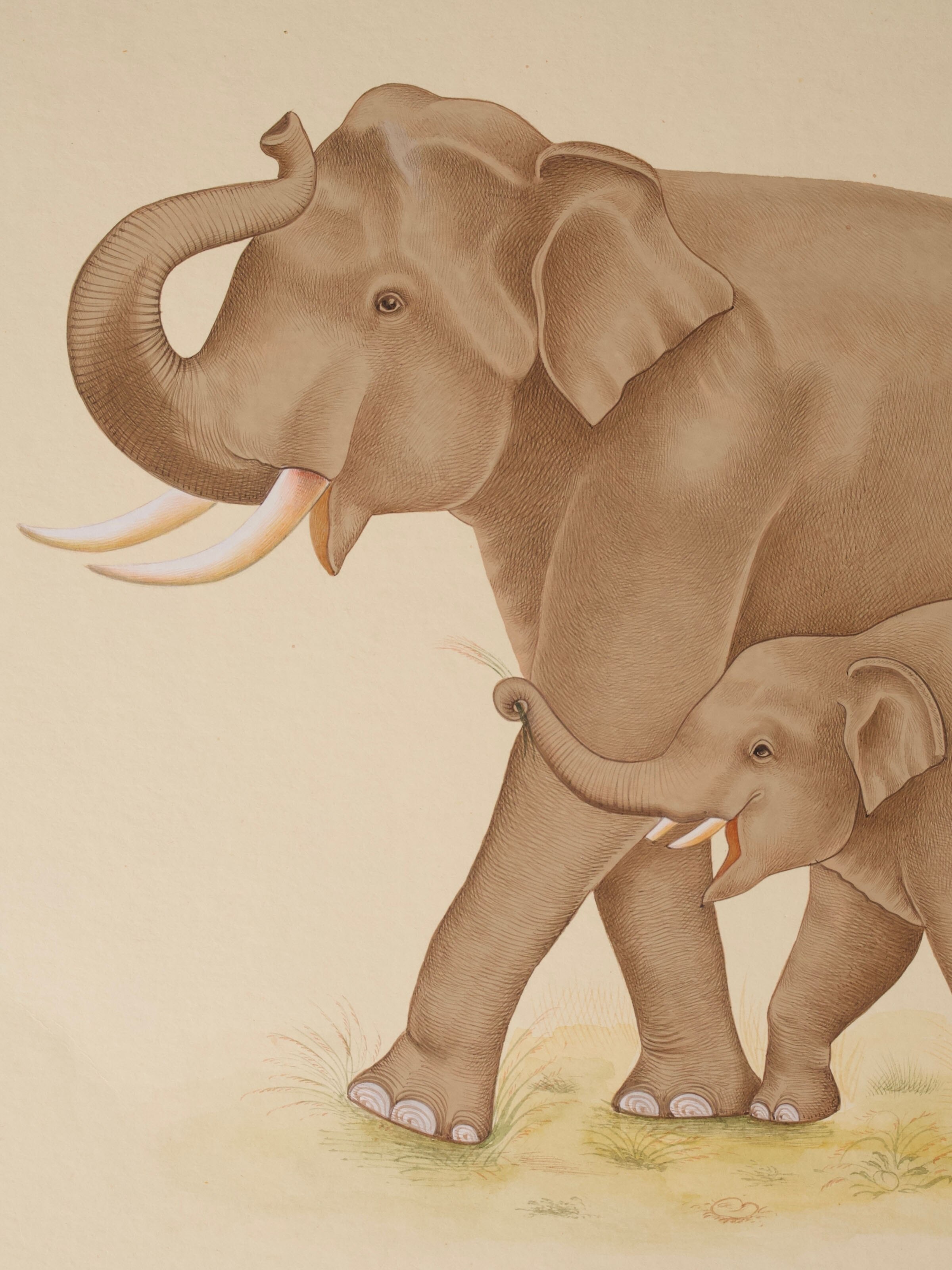 Elephant with Calf Miniature Painting