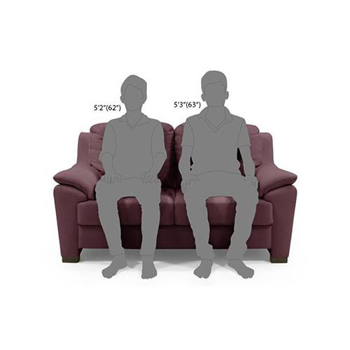 Farina 2 Seater Half Leather Sofa in Wine Colour