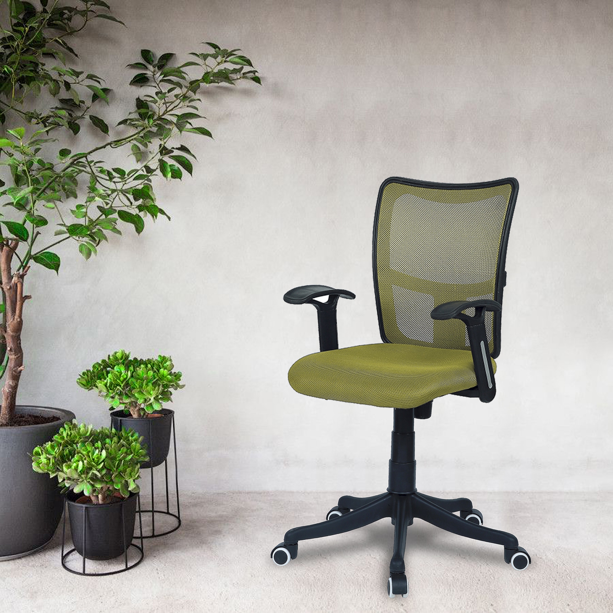 Eexcaeal Mid Back Ergonomic Chair in Pearl Green Colour
